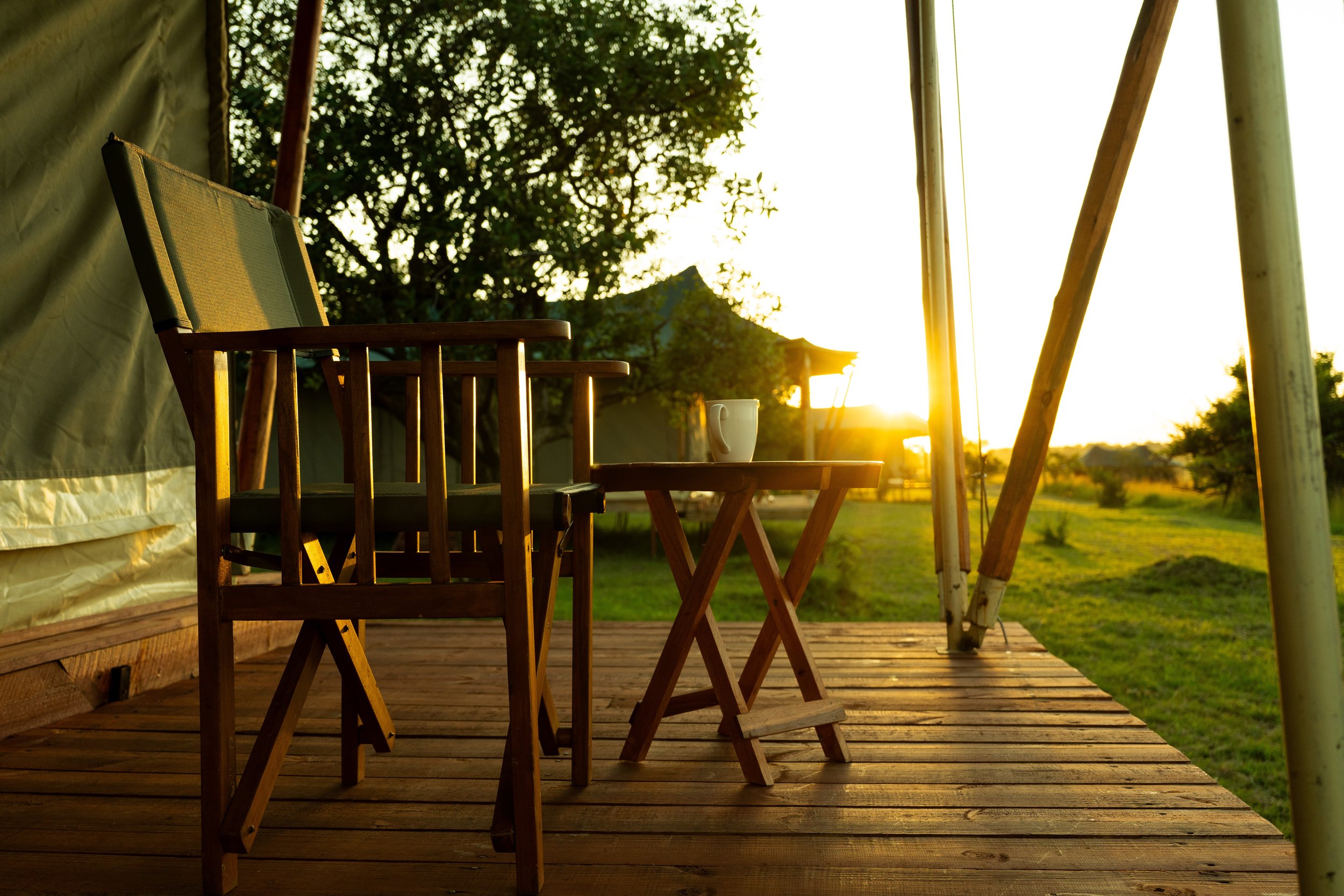 AI Detox in Nature