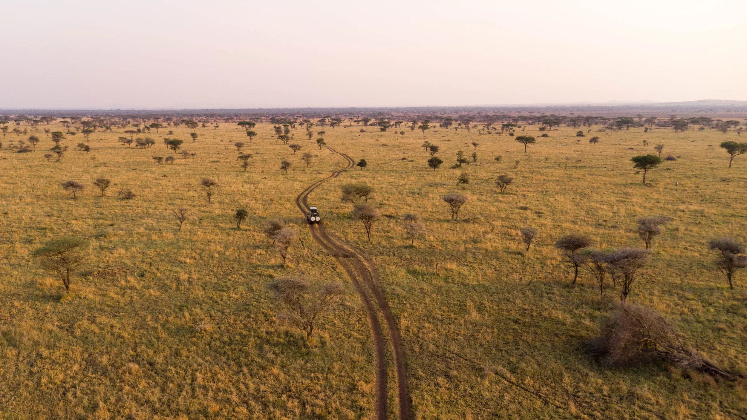 DJI_0257.jpg