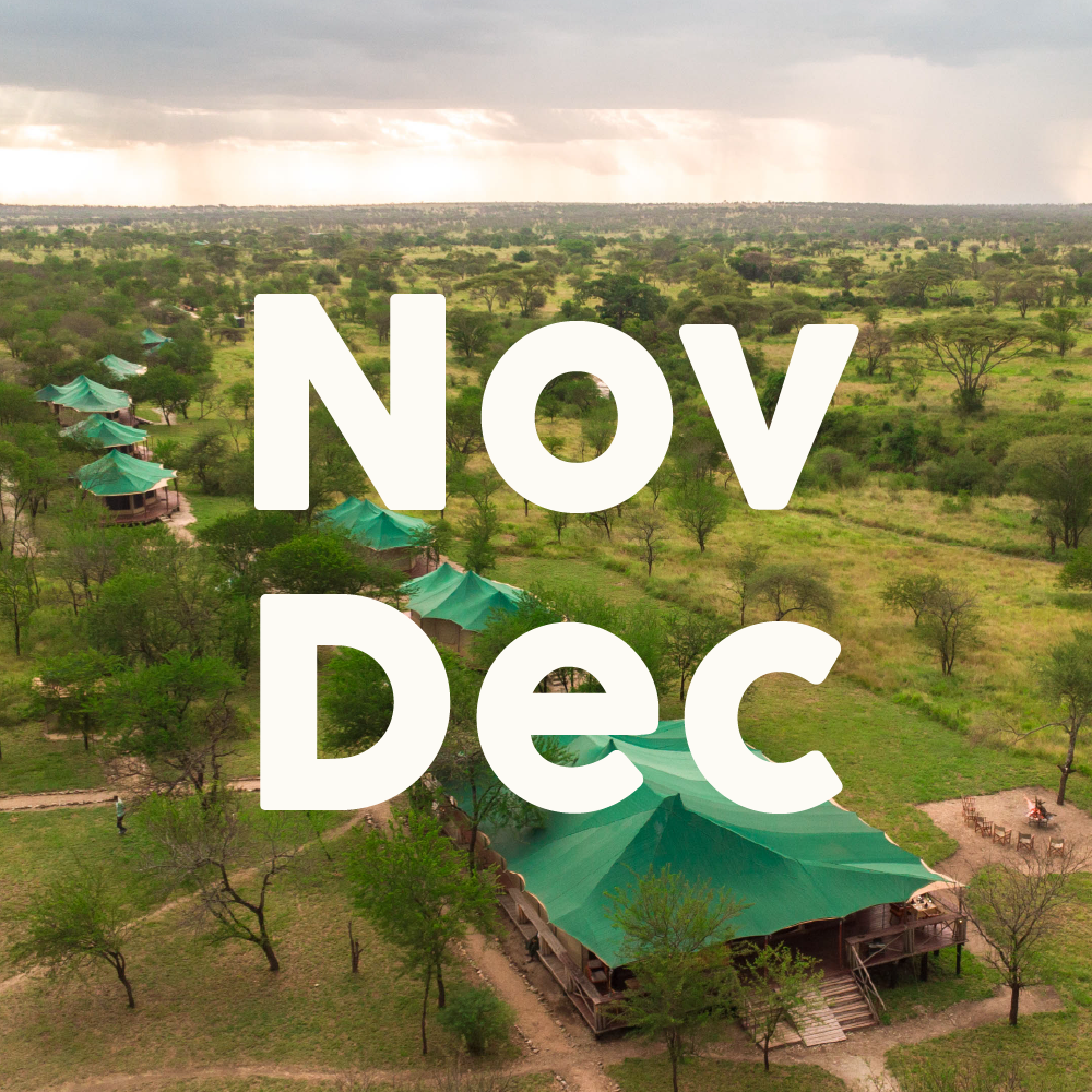 4-Nov-Dec-01.png