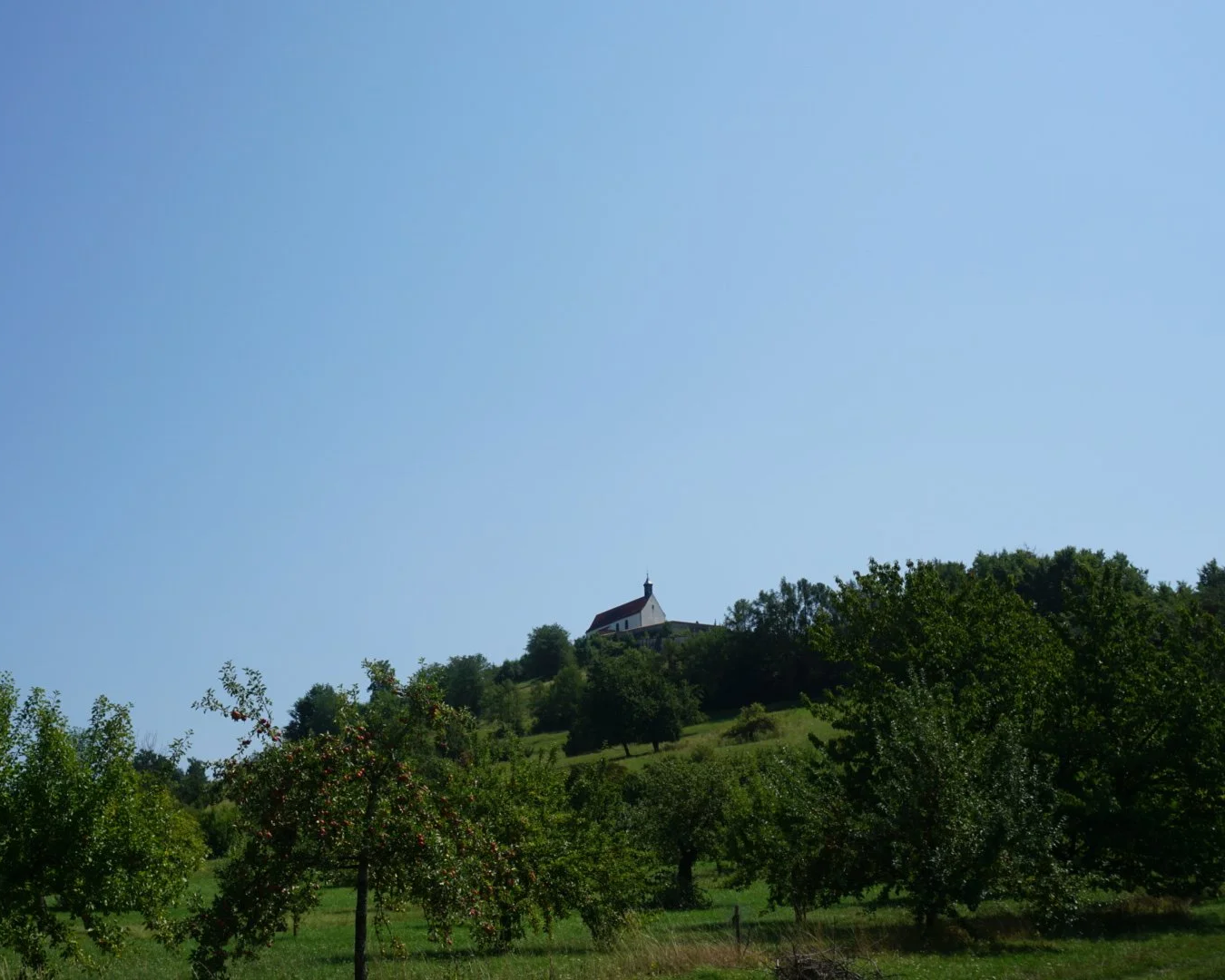 DSC00583.png