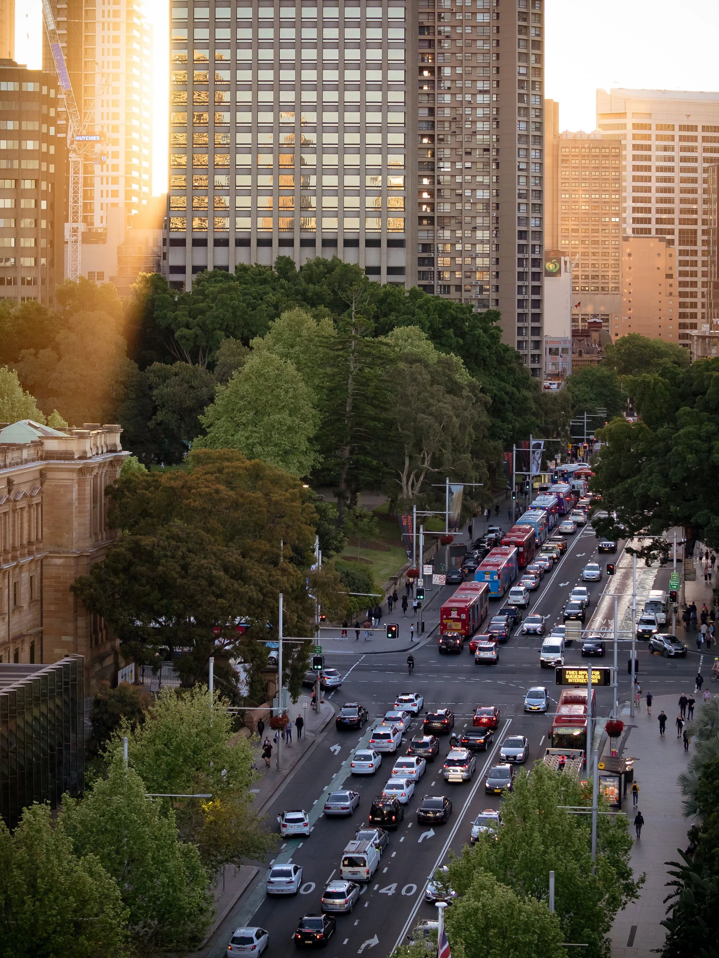 Sydney Sunset.jpg