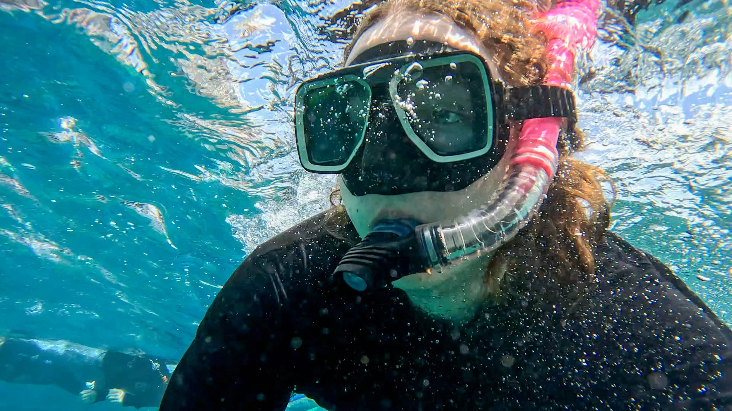 The Reef Authority placeholder image