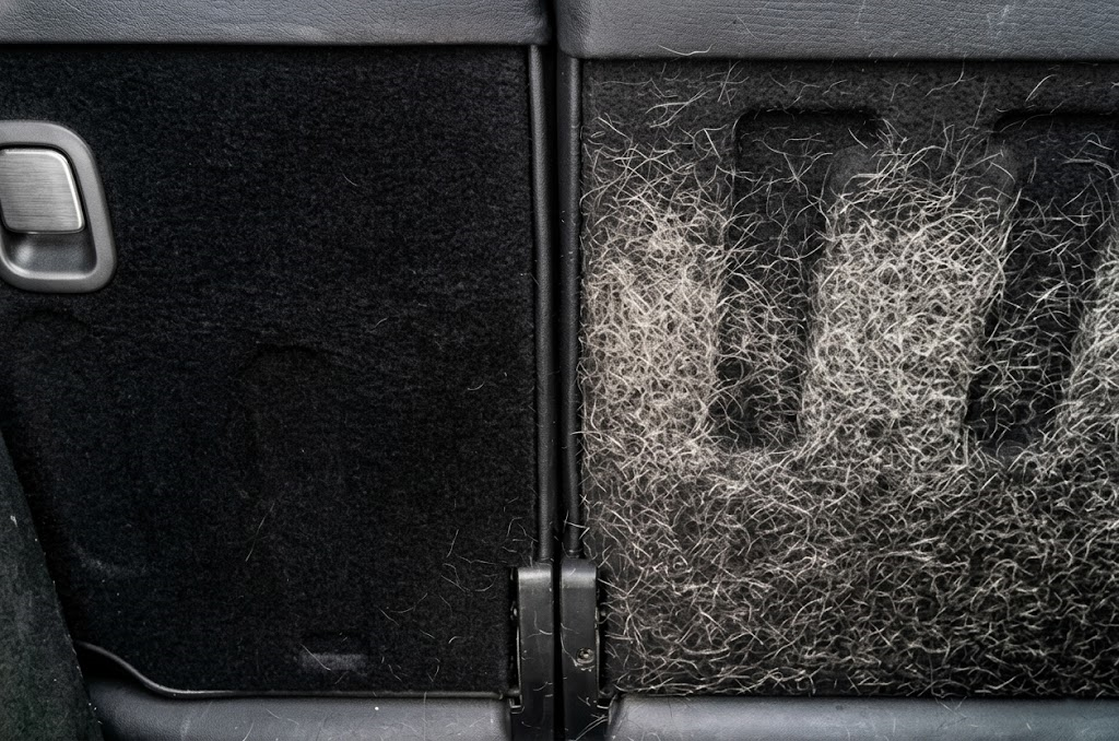 Professional automotive pet hair removal and interior deep cleaning by Results Detailing in Ithaca, NY, showing a side-by-side comparison of hair-embedded carpet vs. a clean finish.