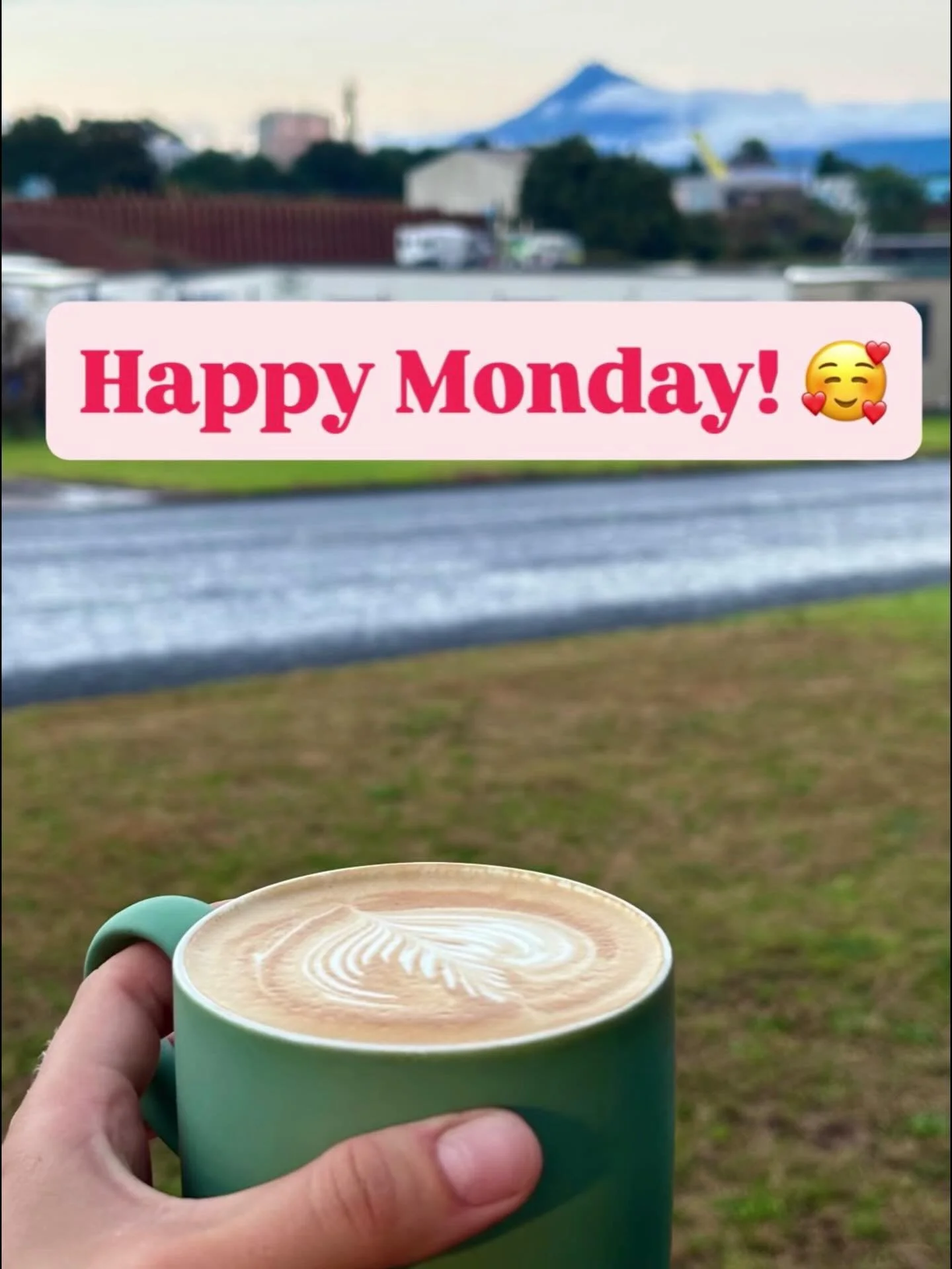 Happy Monday! Pic courtesy of our lovely new Anchor customer @lentotaranaki. Go visit if you&rsquo;re on De Havilland Drive! 🥛