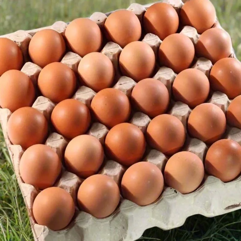 Eggs!!! 🥚 Now available to order online. We currently have free range (s6) and colony eggs (s7) available in cartons of 180 (6 trays). 🥛