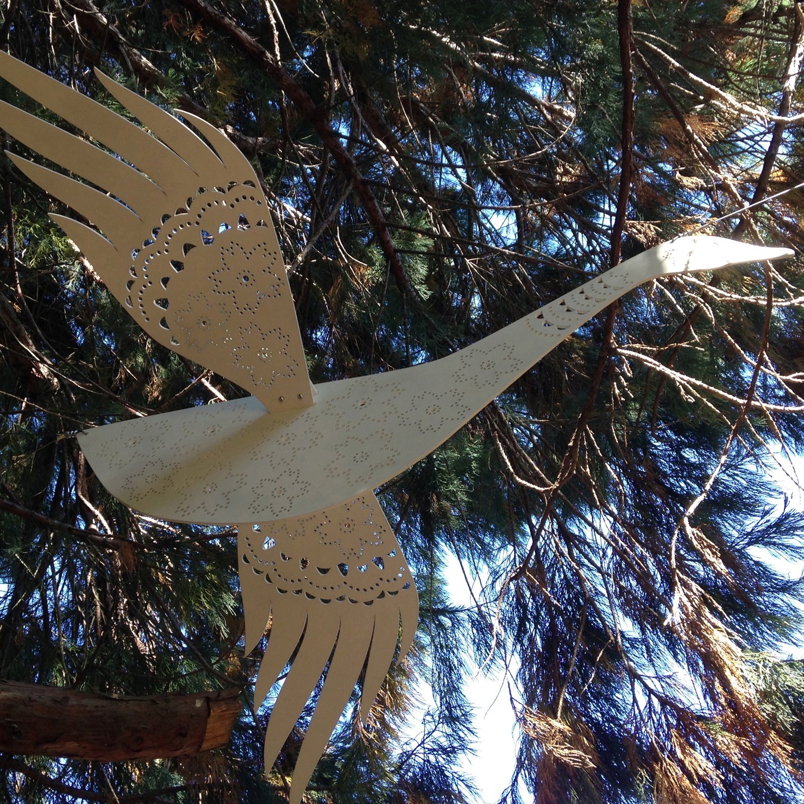 swans_2215.jpg
