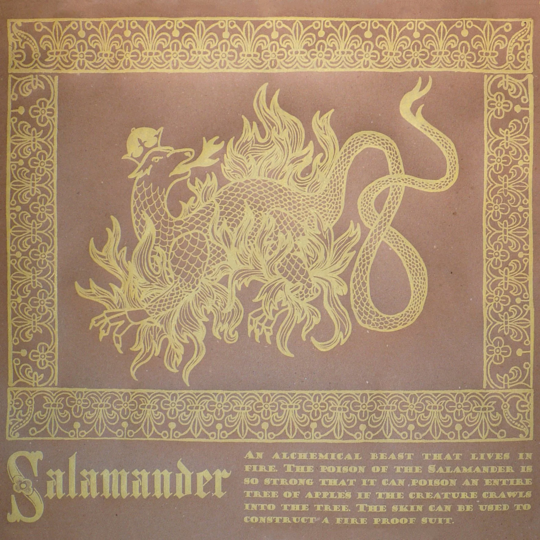 salamander.jpg
