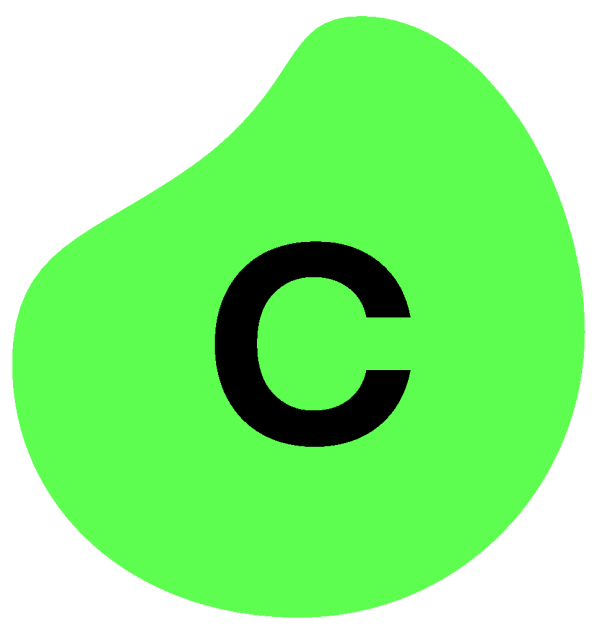 Celonis Japan: The Country Manager Hire That Was Won by a Back-Channel Reference 