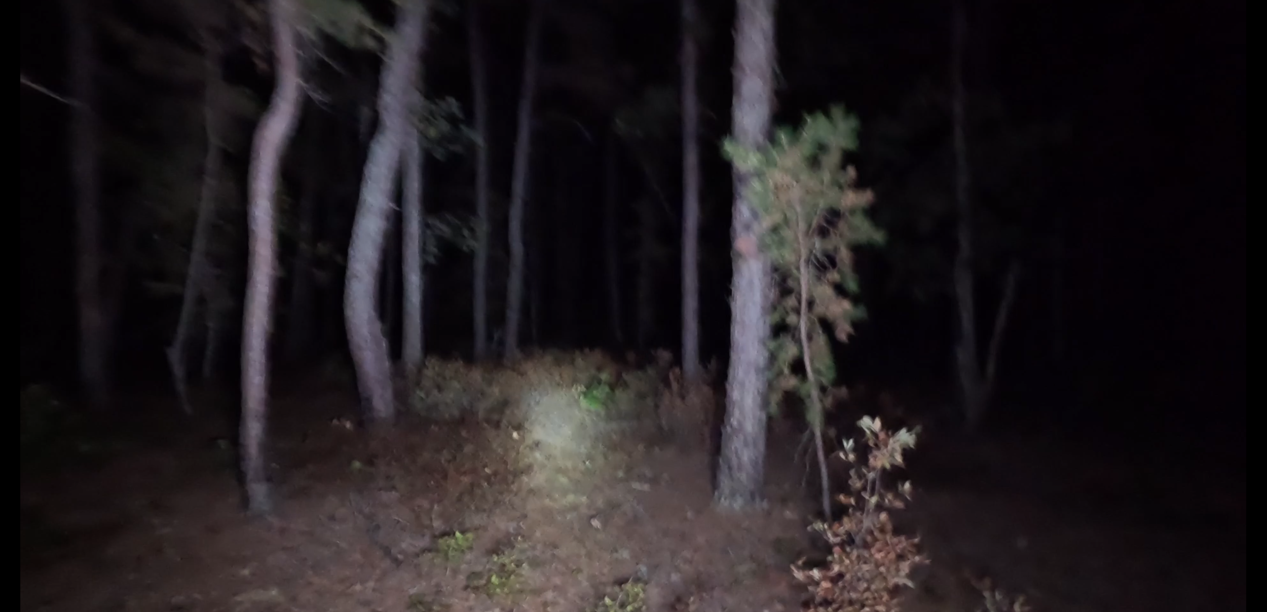 Tree Dynamics