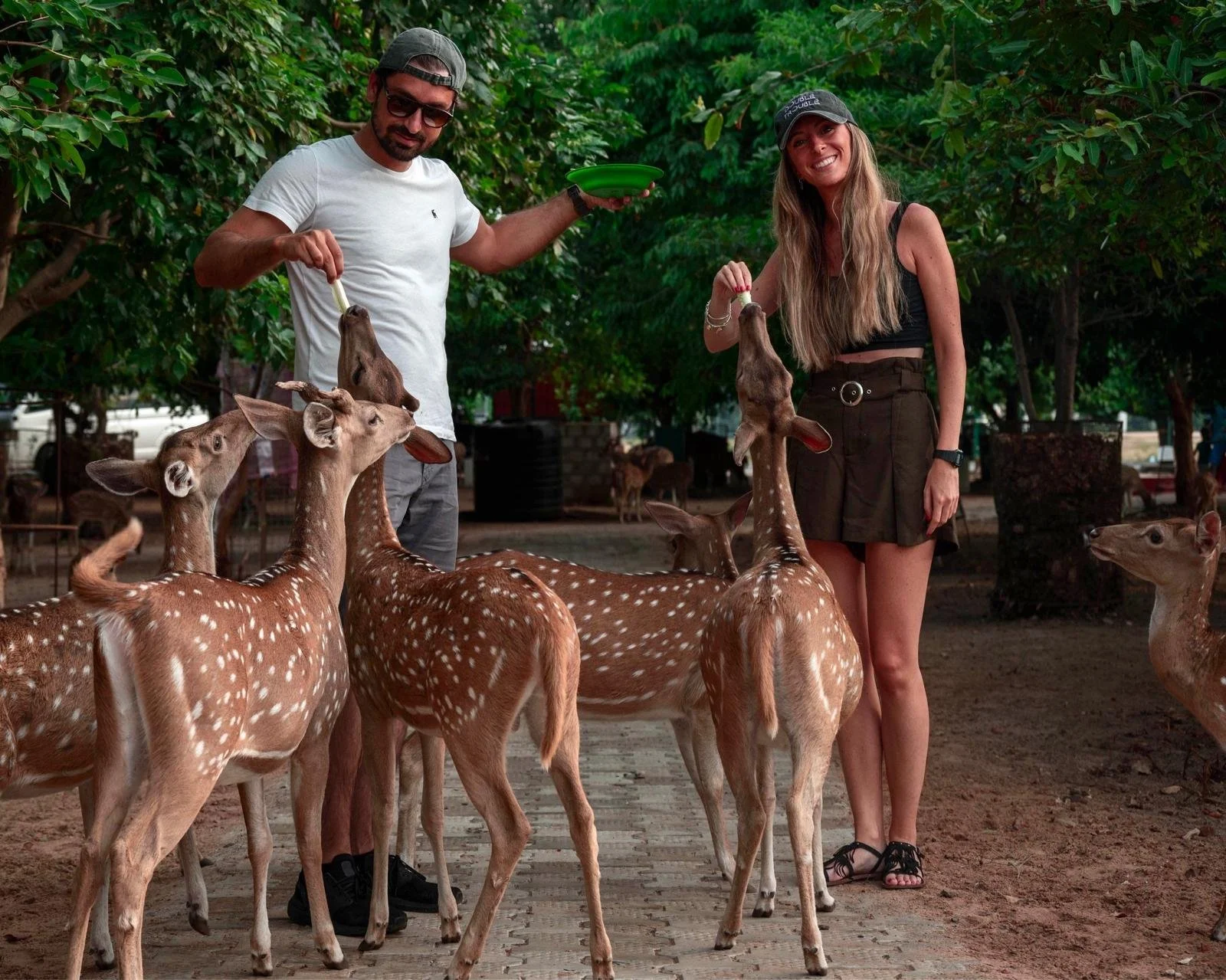 WhatsApp Image 2025-11-29 at 18.16.09 (29).jpeg