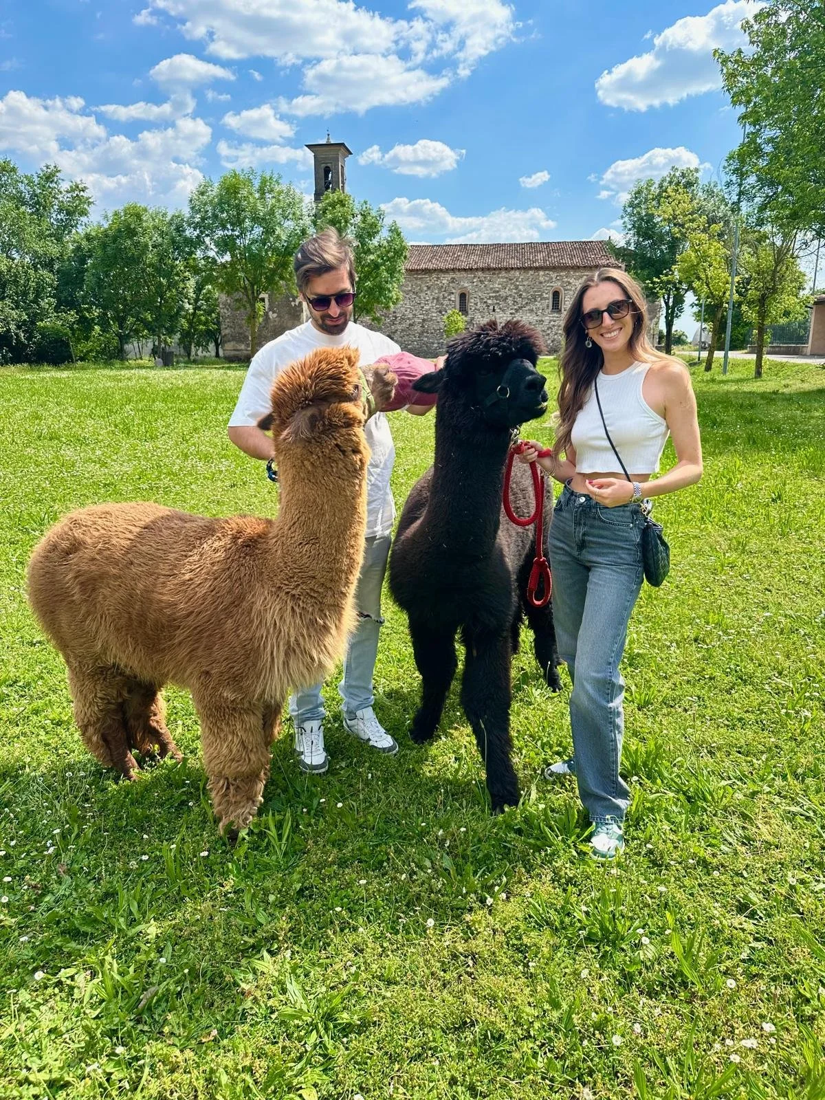 WhatsApp Image 2025-11-29 at 18.16.09 (32).jpeg