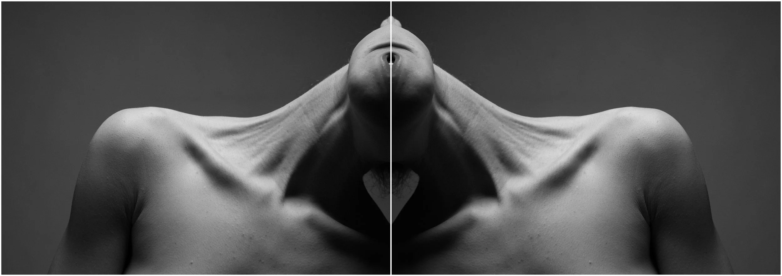 A black and white mirror-reflection photographic portrait of a young woman. An abstract close-up. The clavicule, neck and the chest articulations showcased. The head is disappearing. Very strong shadows and contrasts.