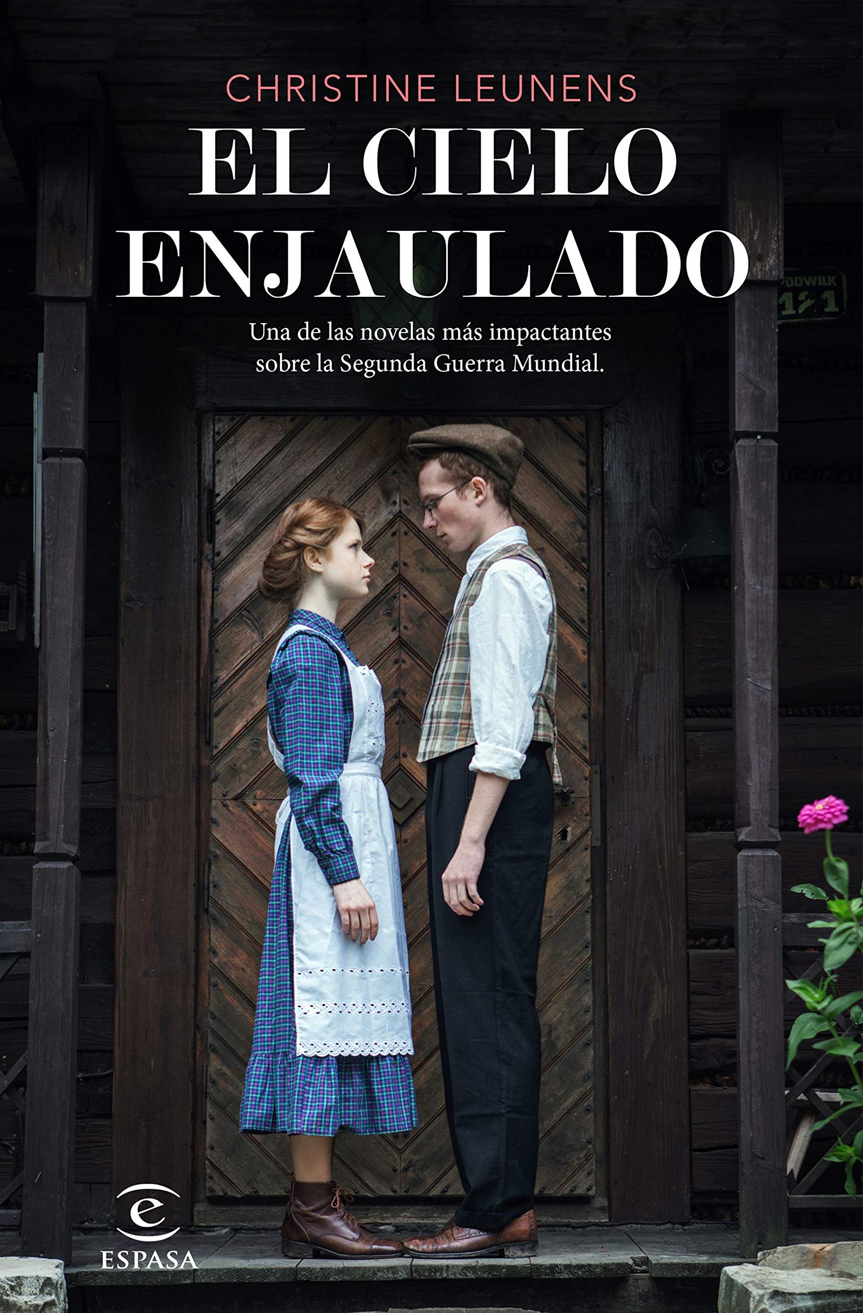 21.  El cielo enjaulado.jpg