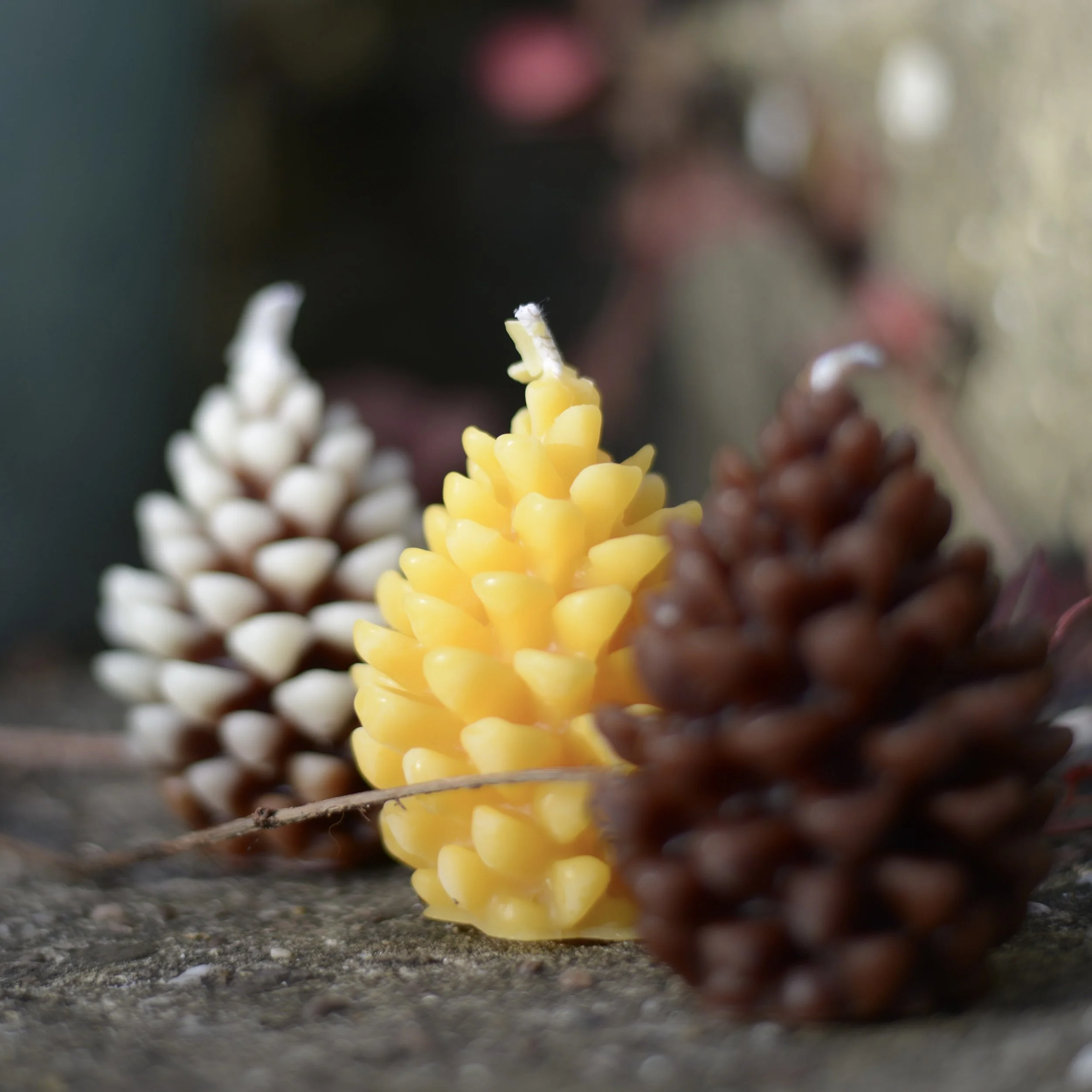 Beeswax Fir Cone Candle