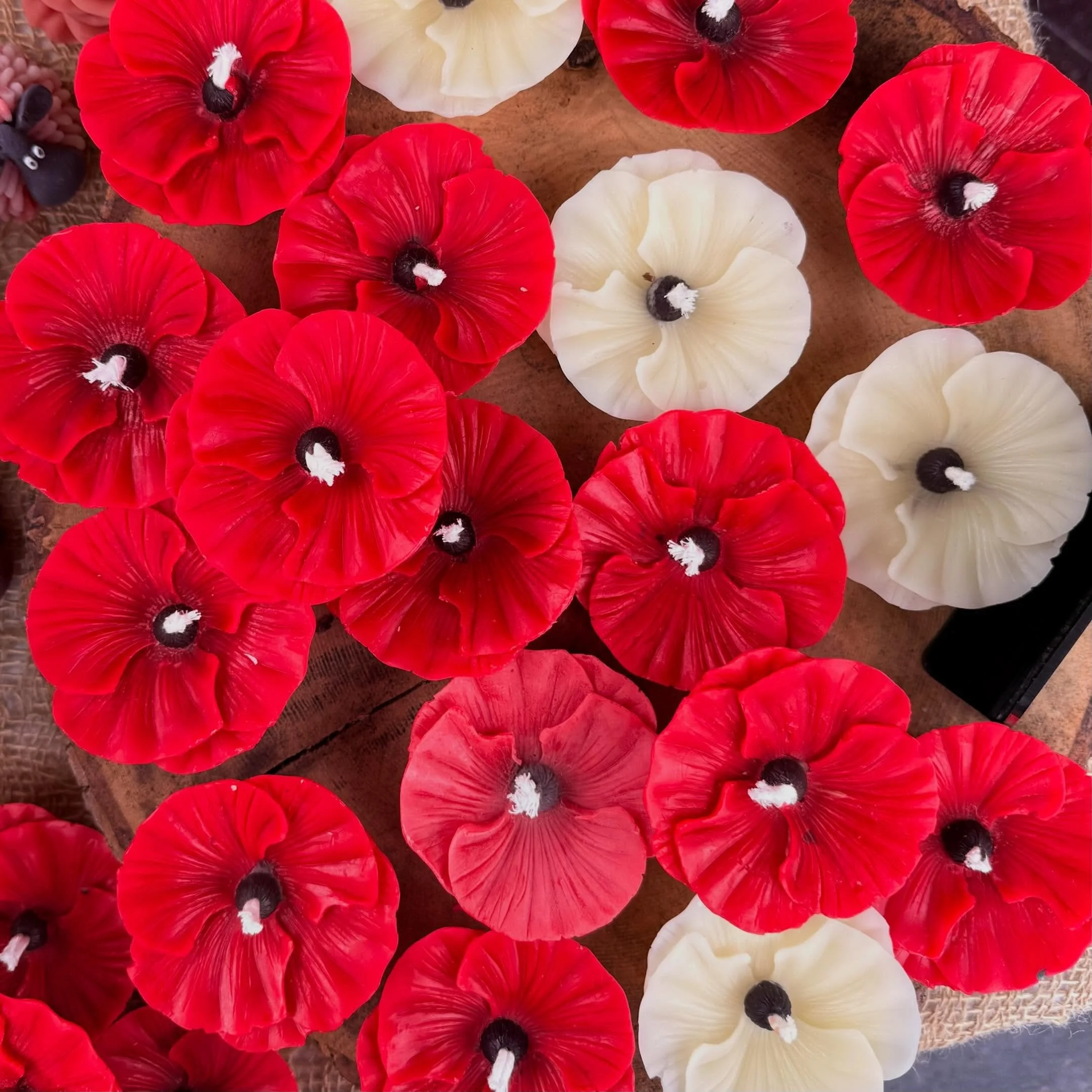 Reflecting on the courage, sacrifice and enduring legacy for those that fought for my freedom.

Lest we forget 

#remembranceandhope
#whitepoppyofpeace
#neveragain