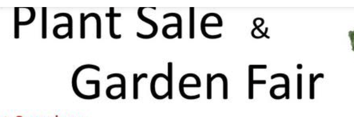 Culmstock Plant Sale 