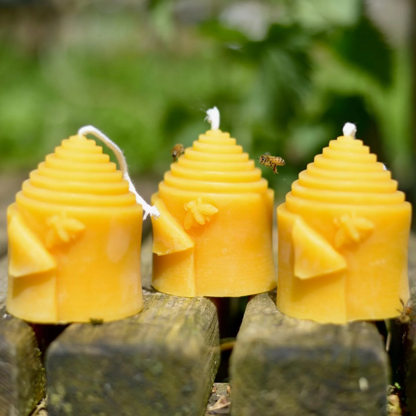 Blossoms are out, bees are hard at work and so am I! 🕯️✨
All we need now is some more sunshine and less chilly air. 🌿

#devonbees #blossom2026 #beeswaxcandles #beeswaxproducts #beekeeperslife