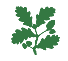 Devon Craft Fair - Arlington Court 
