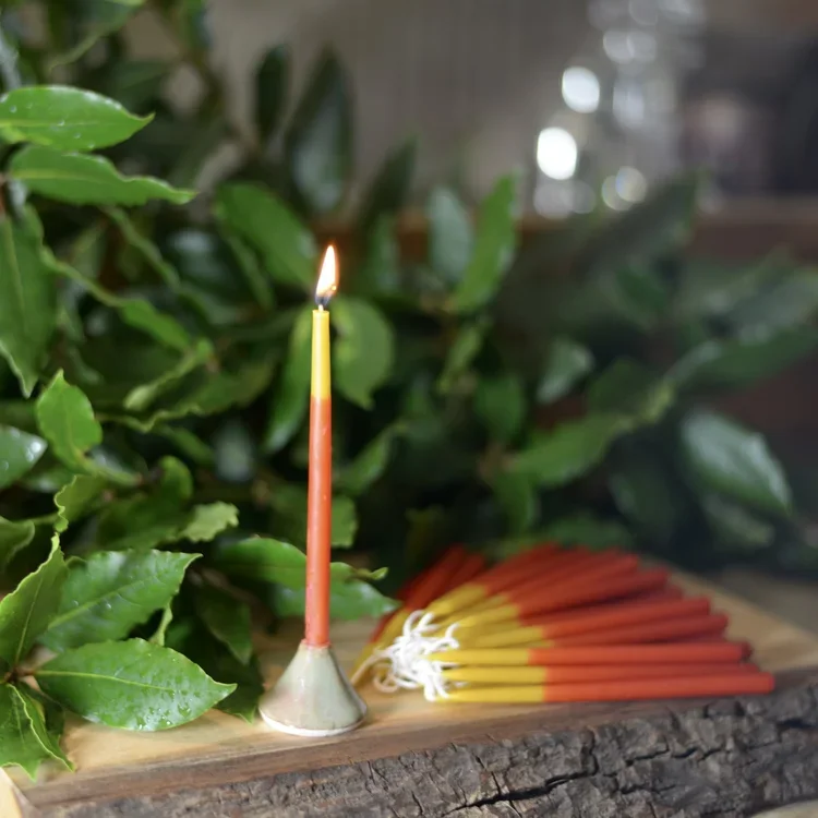 A lit birthday candle stands on a silver holder on a wooden surface, with a bunch of unlit candles nearby, surrounded by green leaves.