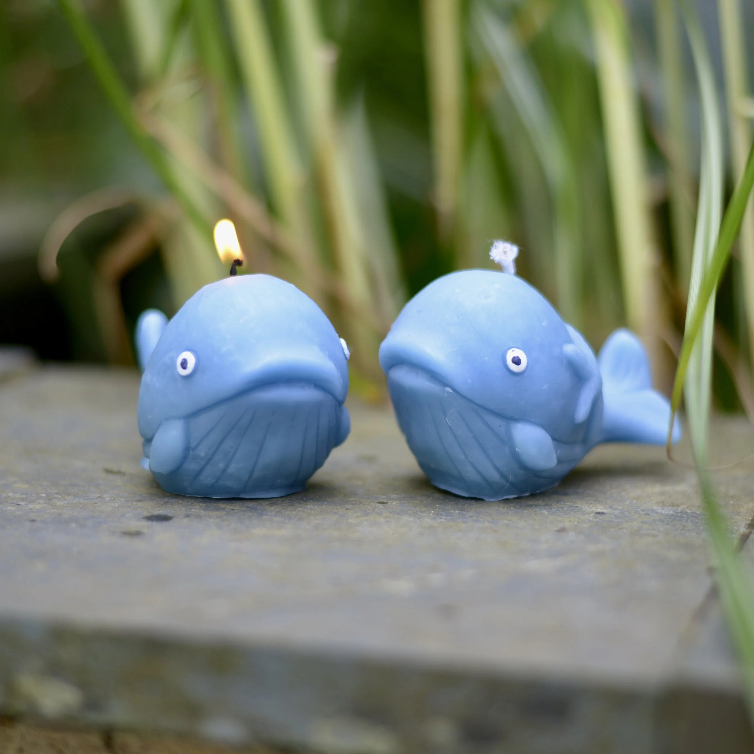 Wilf the Whale Beeswax Candle