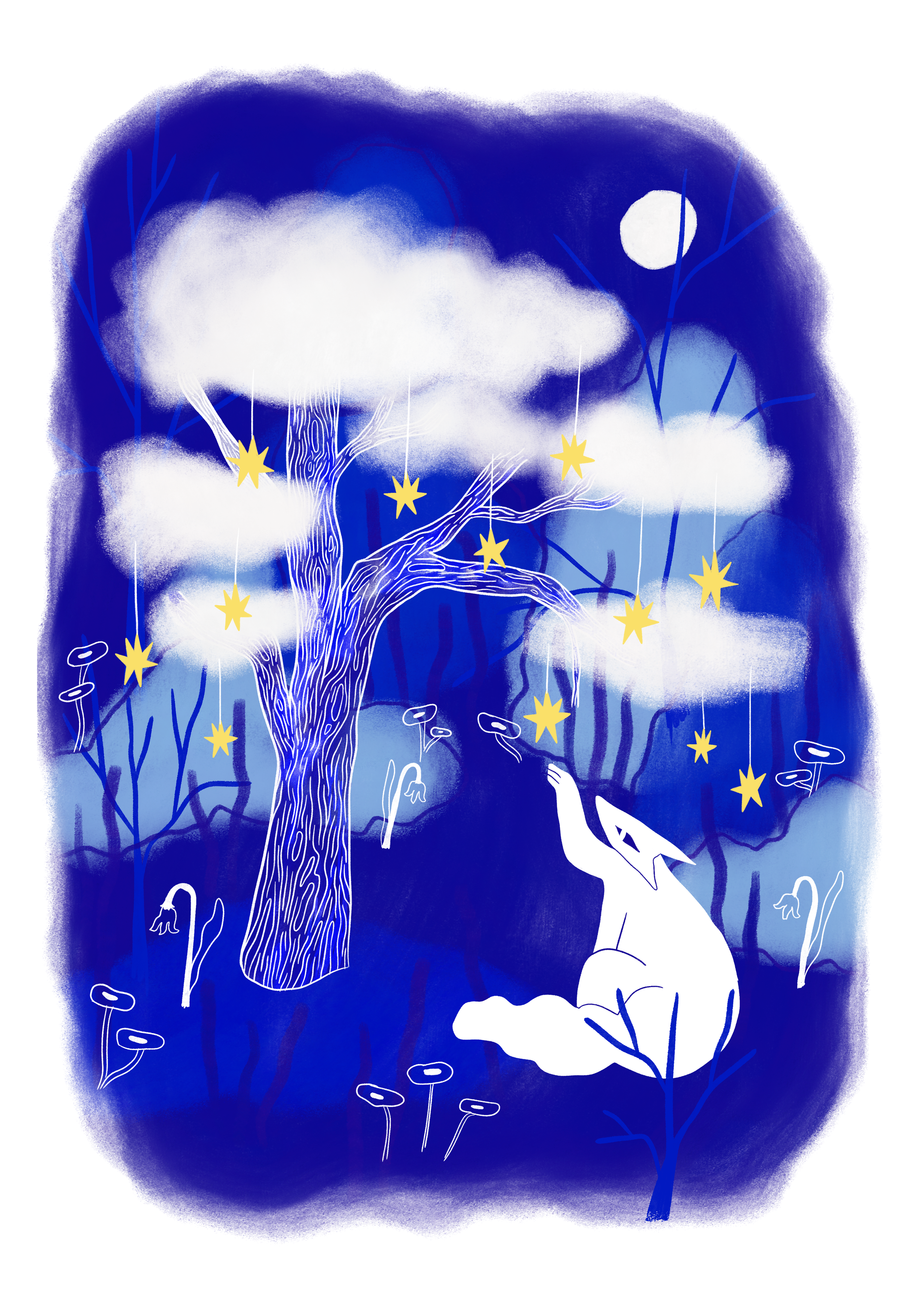 seri loup.png
