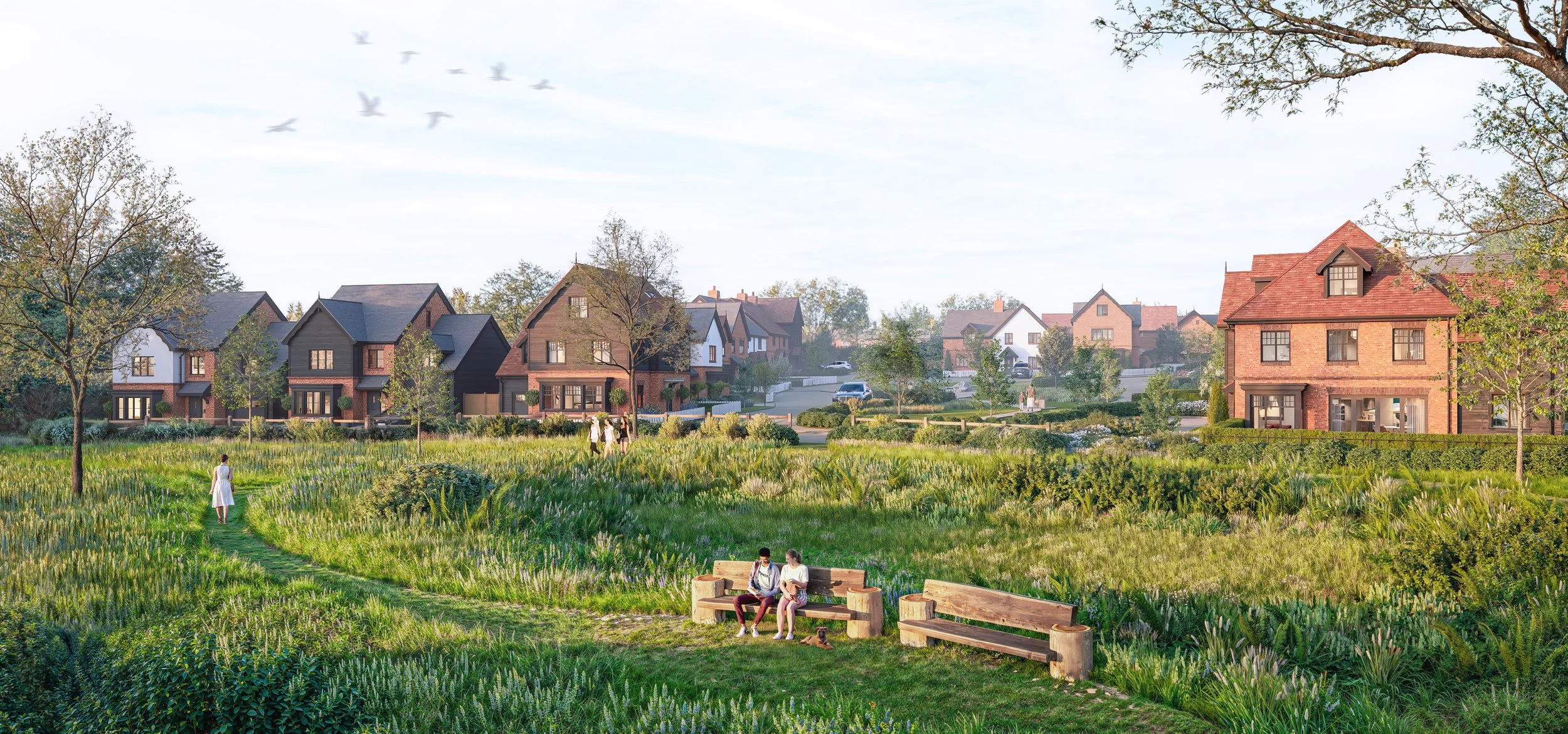 harris lane - Green space.jpeg