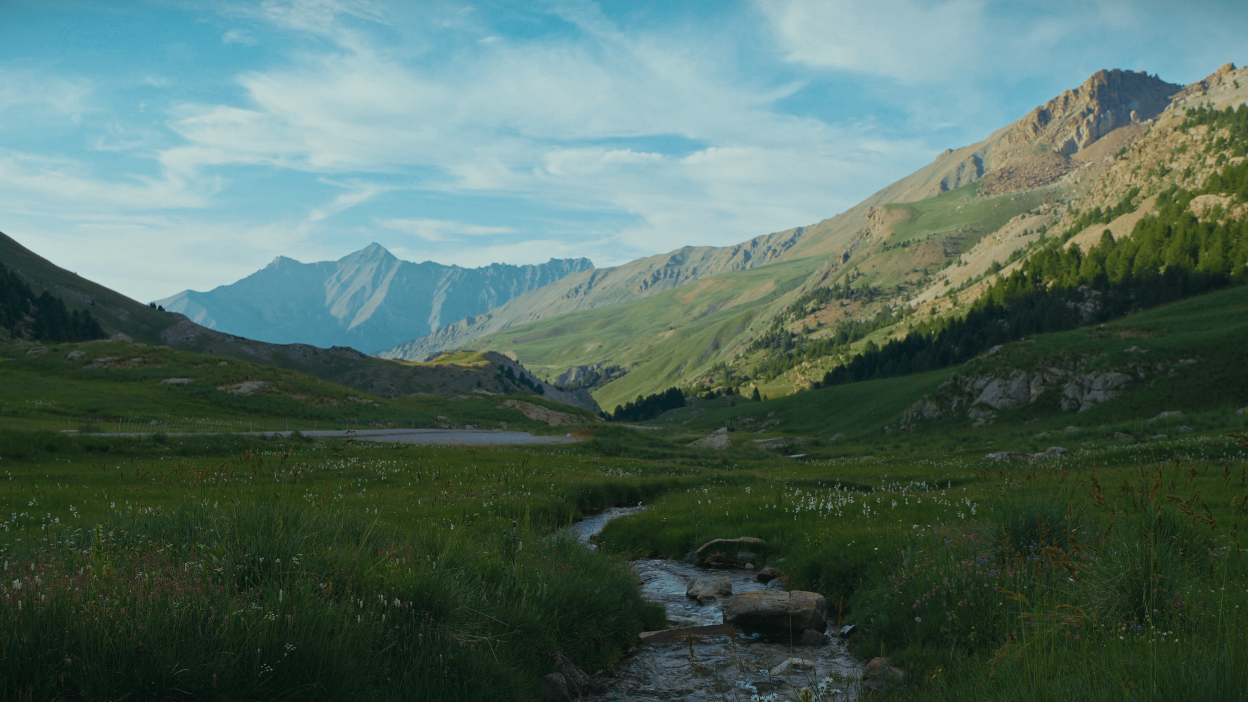 HUD STILLS WEBSITE_1.1.9-min.png