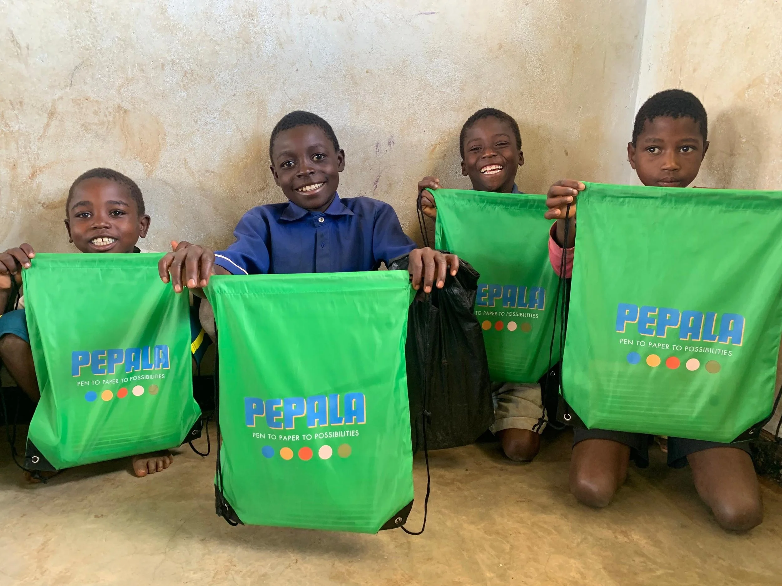 A Year of Impact at Pepala