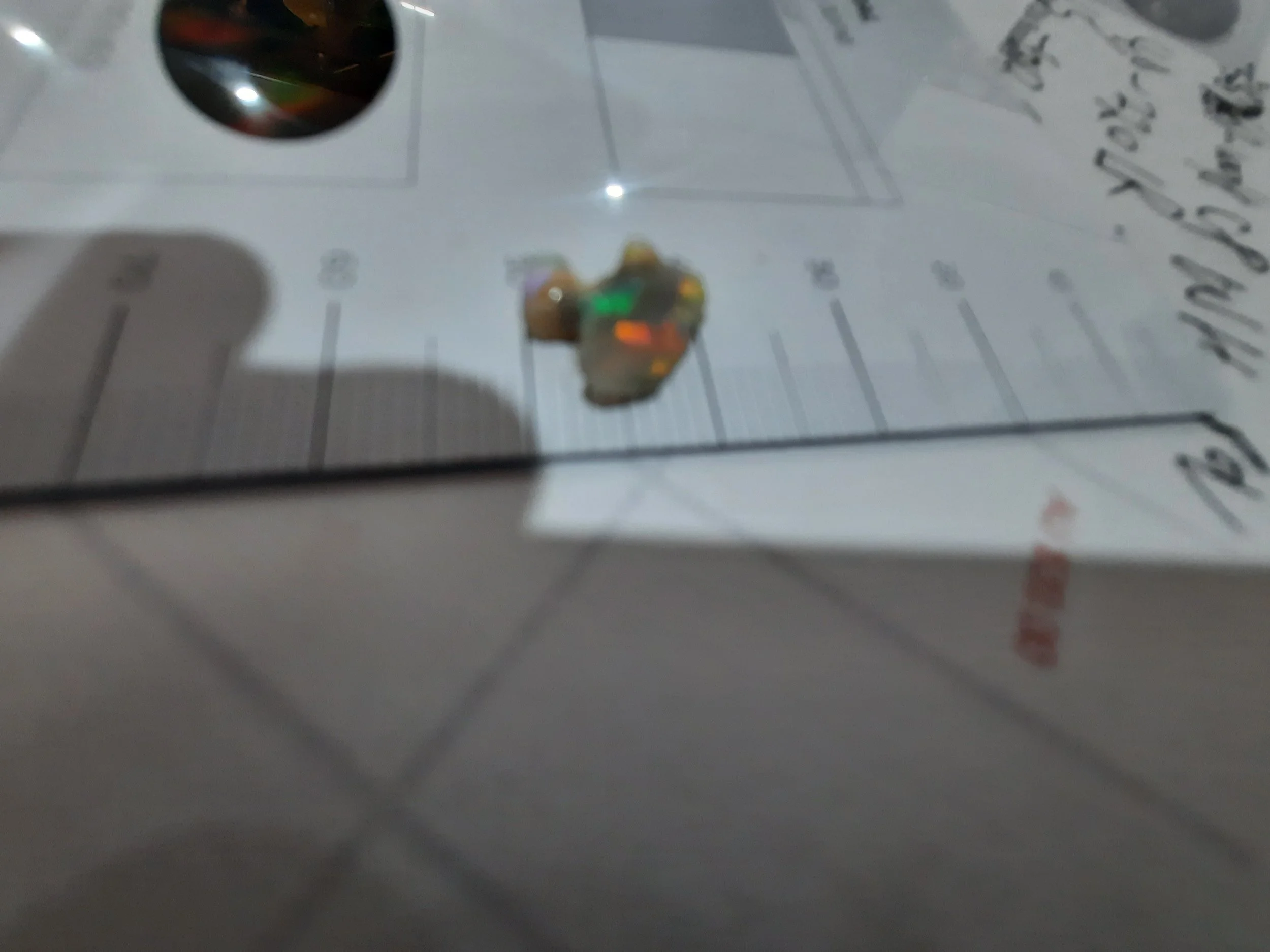 20251112_163420.jpg