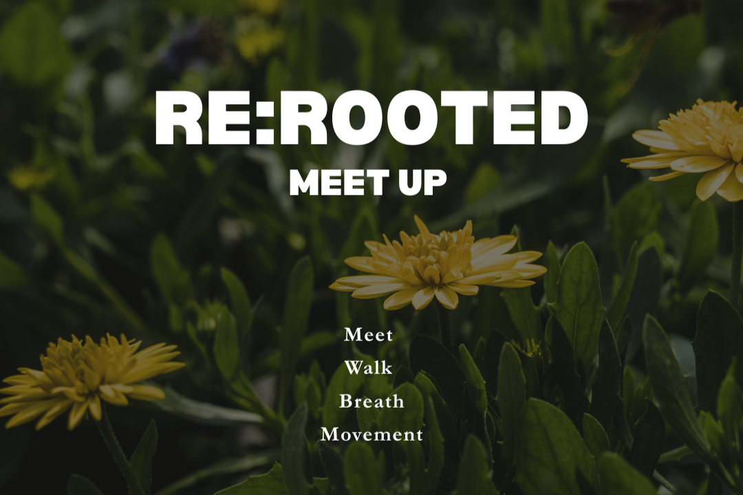 RE:ROOTED Meet up
