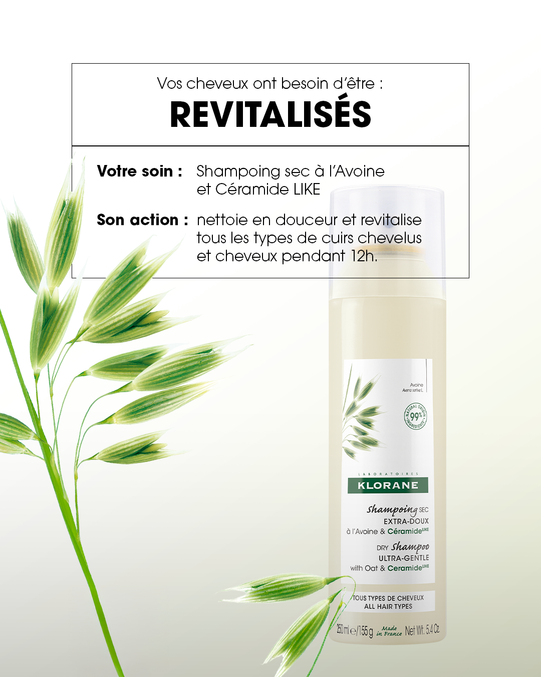 SHAMPOING SEC_2 copie.png