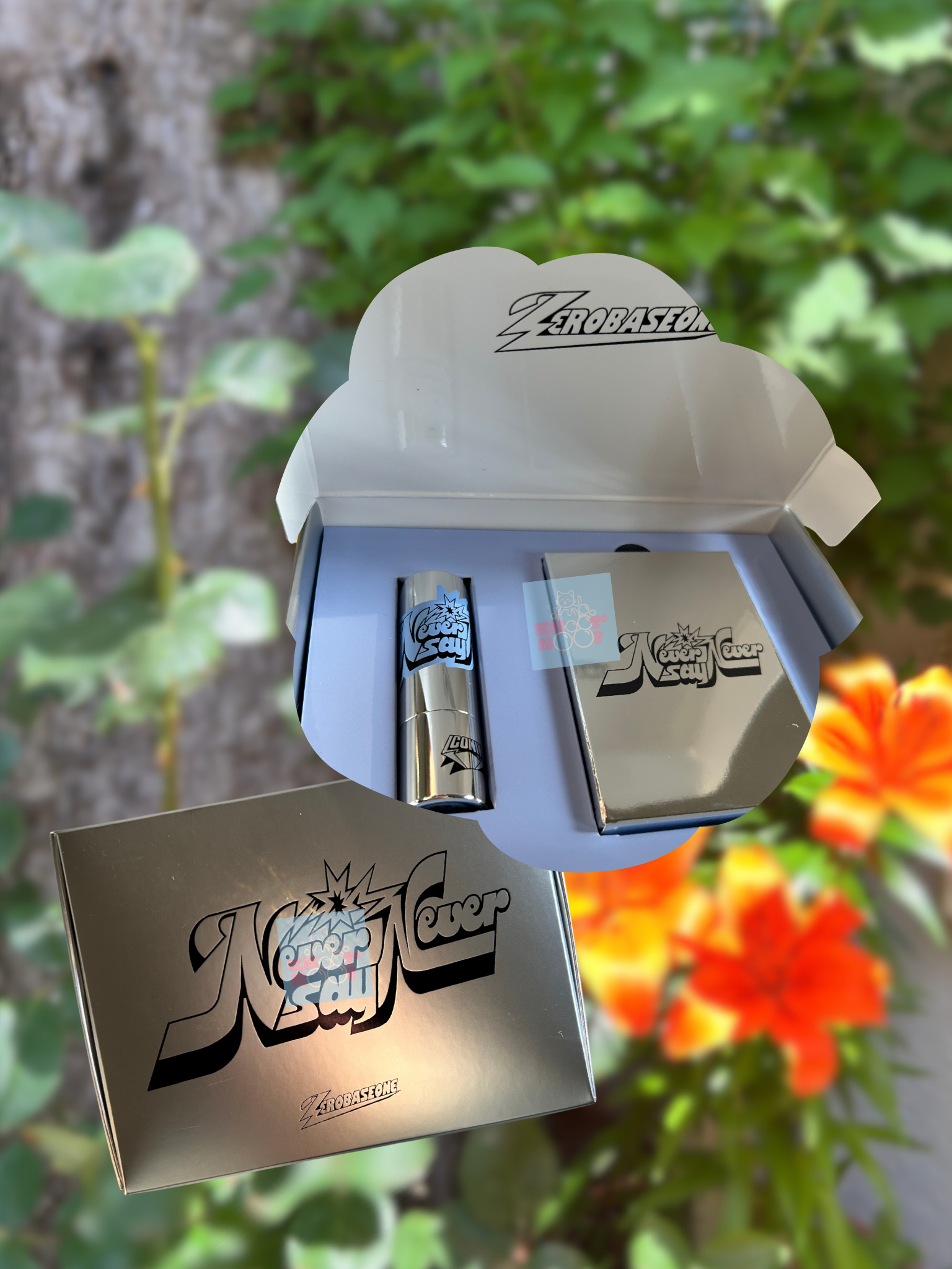 ZB1 Never Say Never Scents