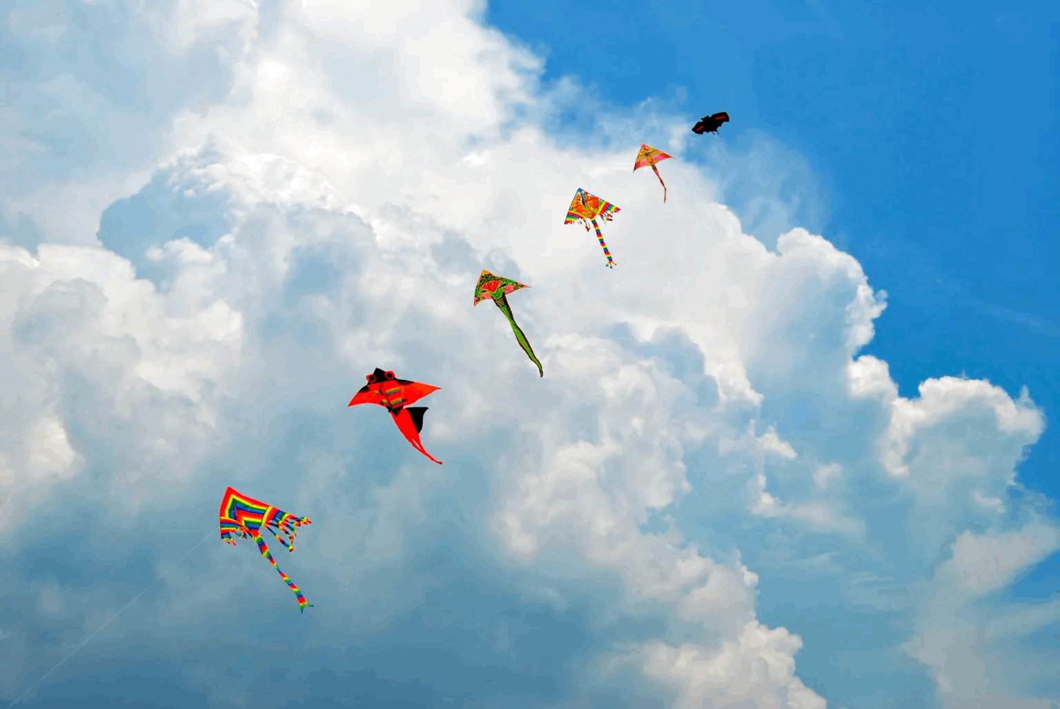 Das mentale Immunsystem stärken: Wissenschaftliche Hintergründe und praktische Tipps für mehr Resilienz im Alltag