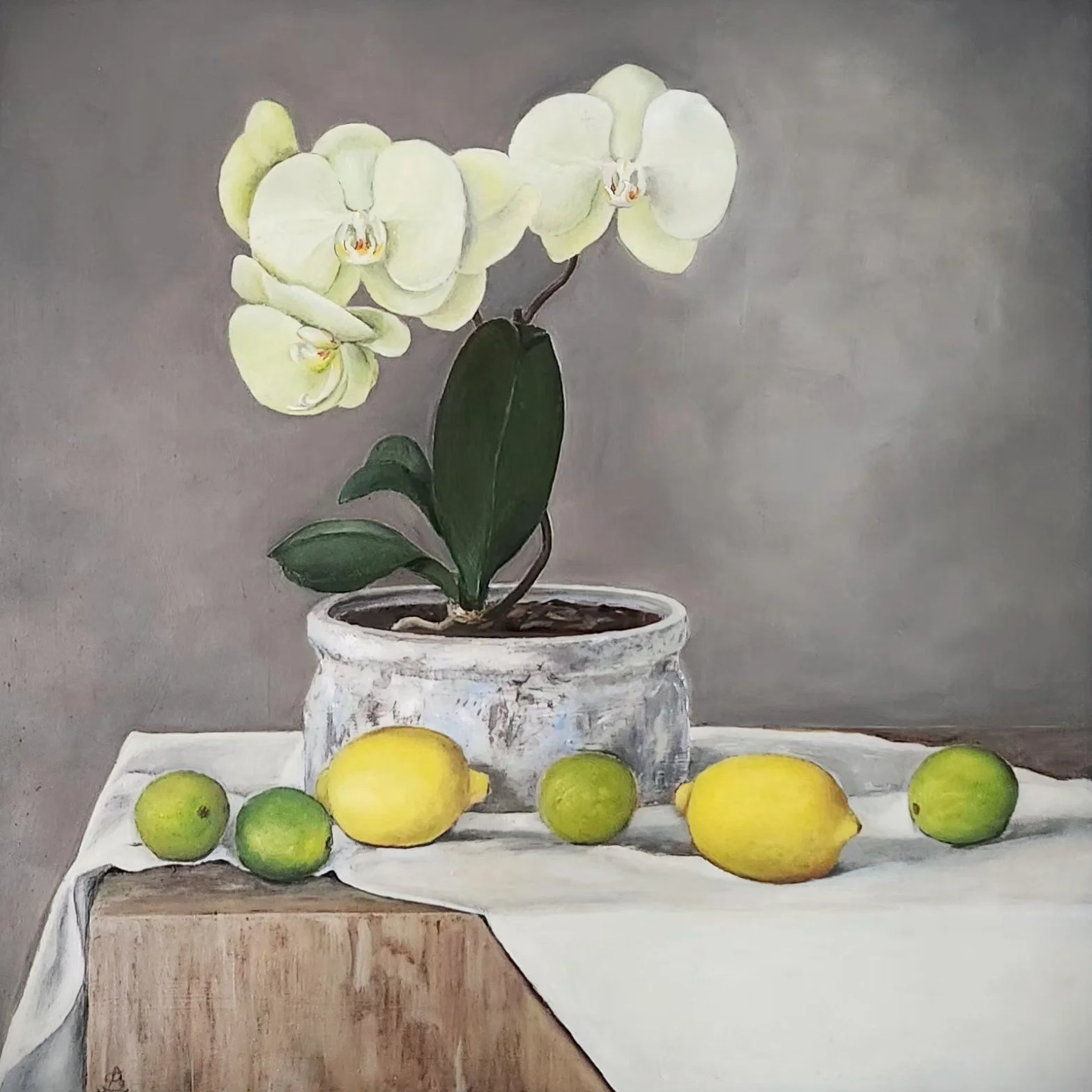 Still life with Orchid