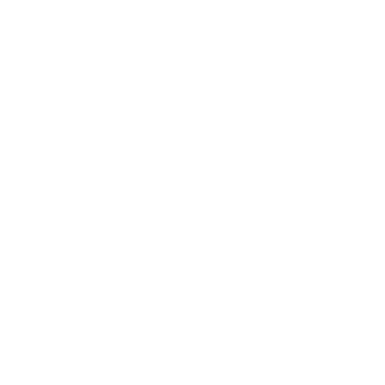 Logo Blanc CoachDiamantCertifie.com