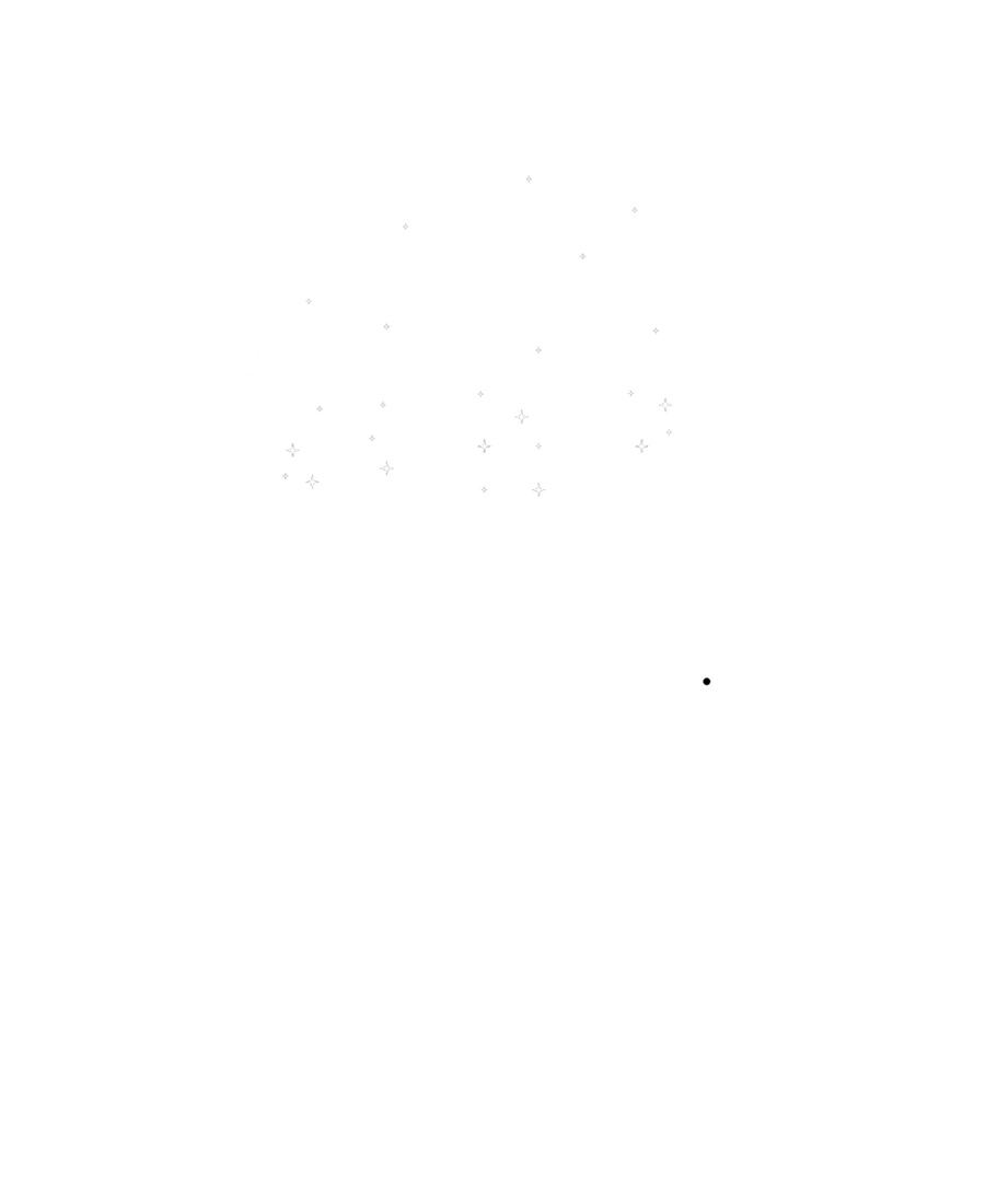 Moonshine photography logo, Manchester based wedding and event photographer