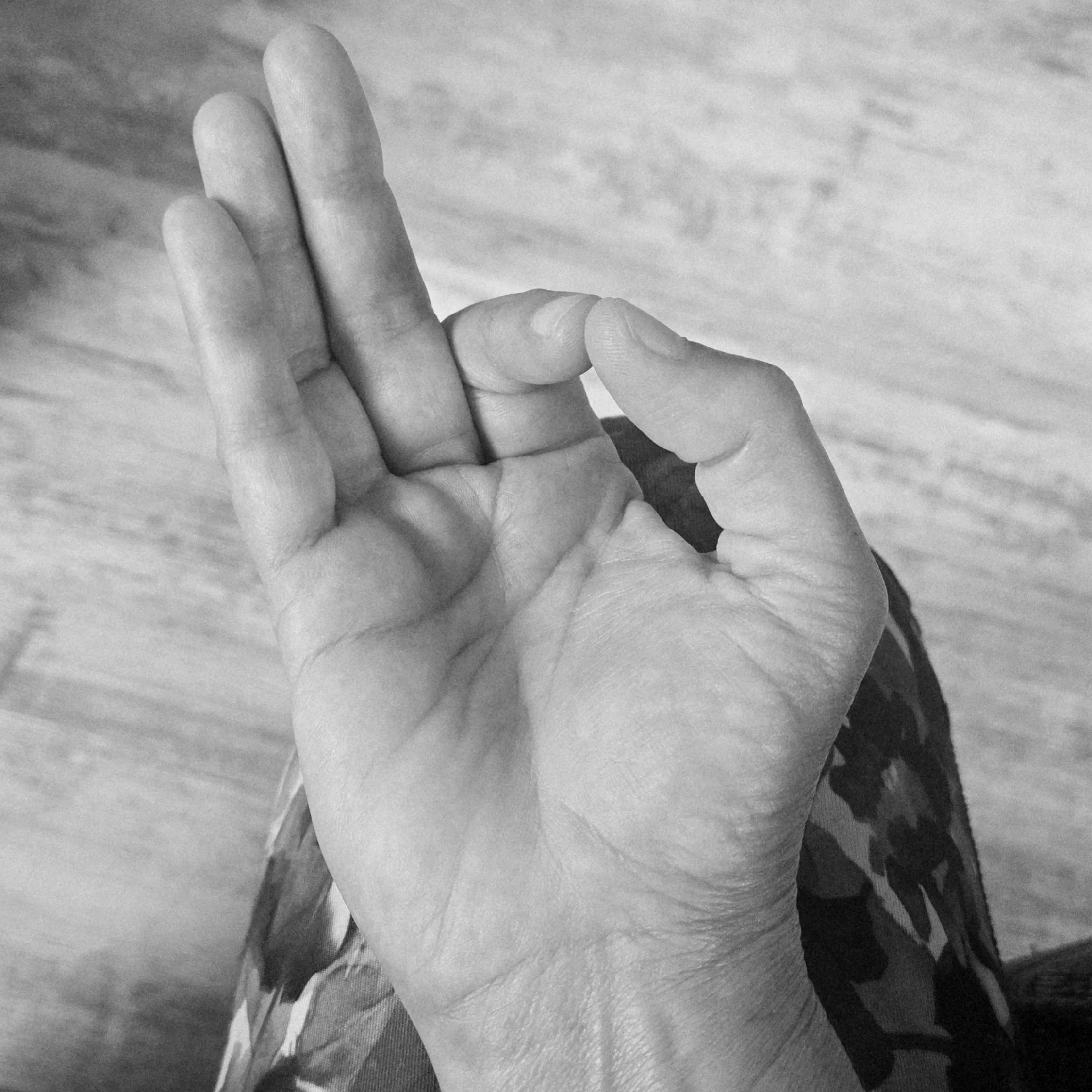 Hamsa Hands | Gyan Mudra