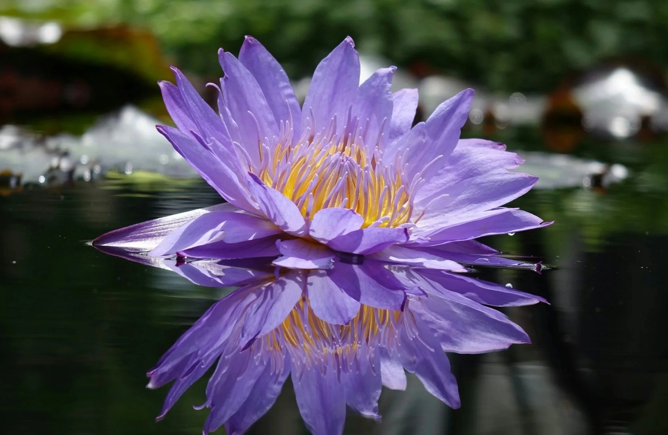 Reflection Journaling | Hamsa Hands