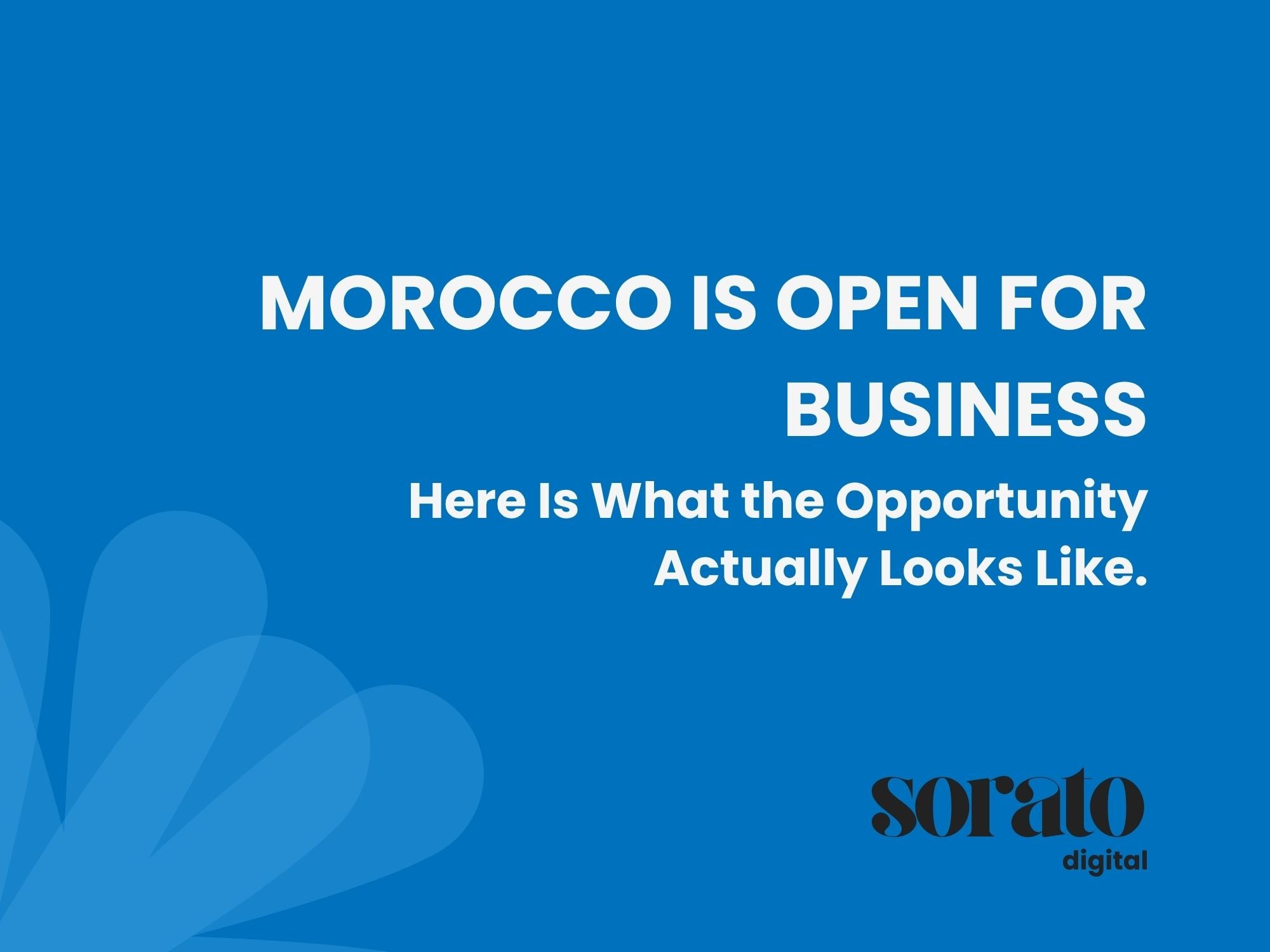 Morocco Is Open for Business. Here Is What the Opportunity Actually Looks Like.