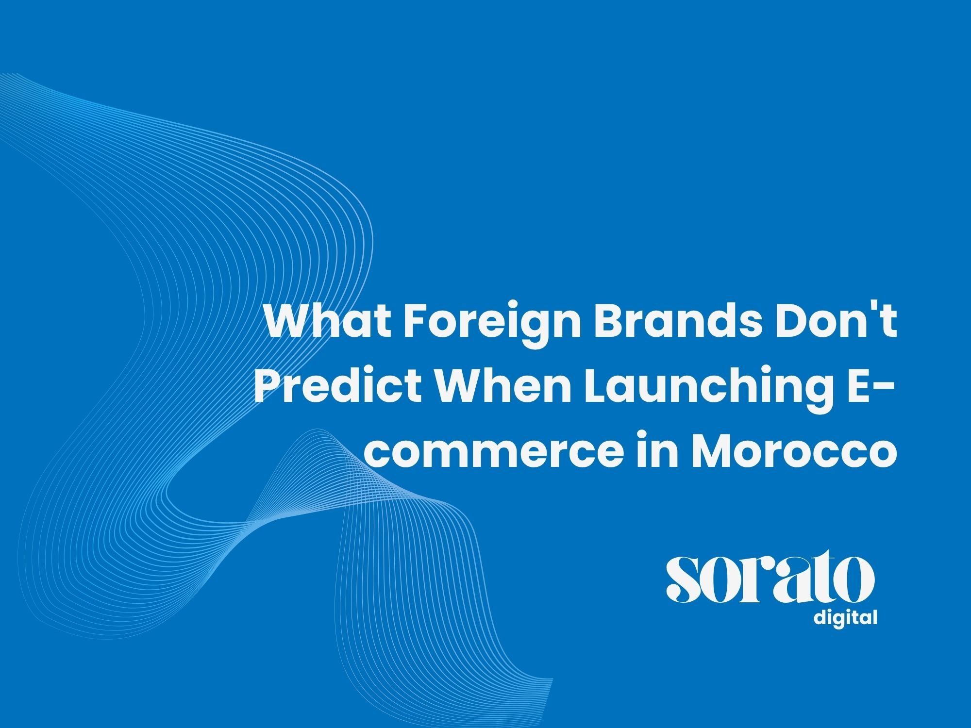 What Foreign Brands Don't Predict When Launching E-commerce in Morocco