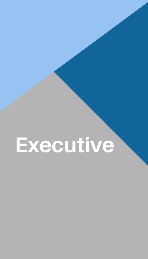 Graphic of Executive Package for companies.
