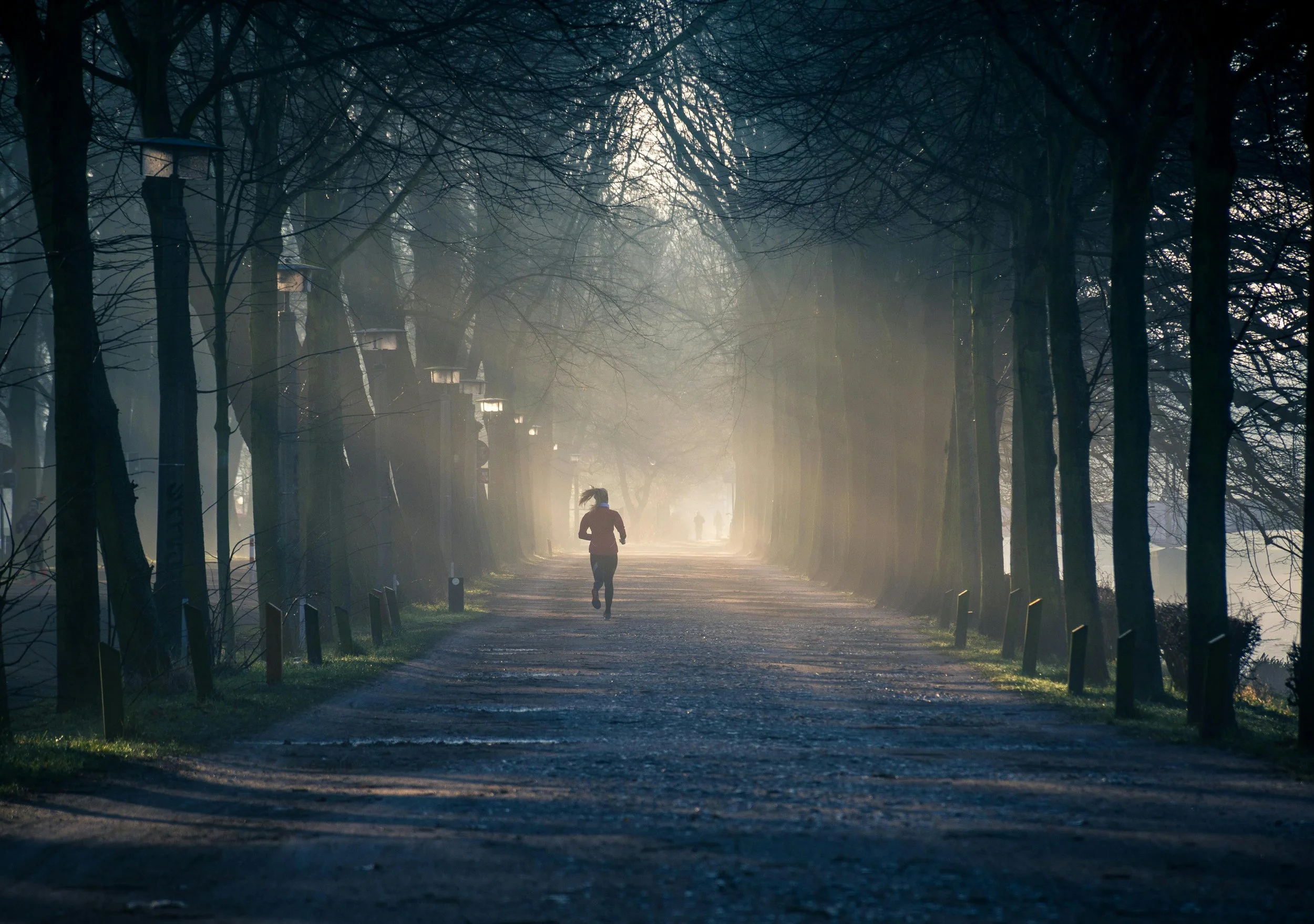 A person running on a tree-lined pathway at dawn with fog and sunlight filtering through the branches.
