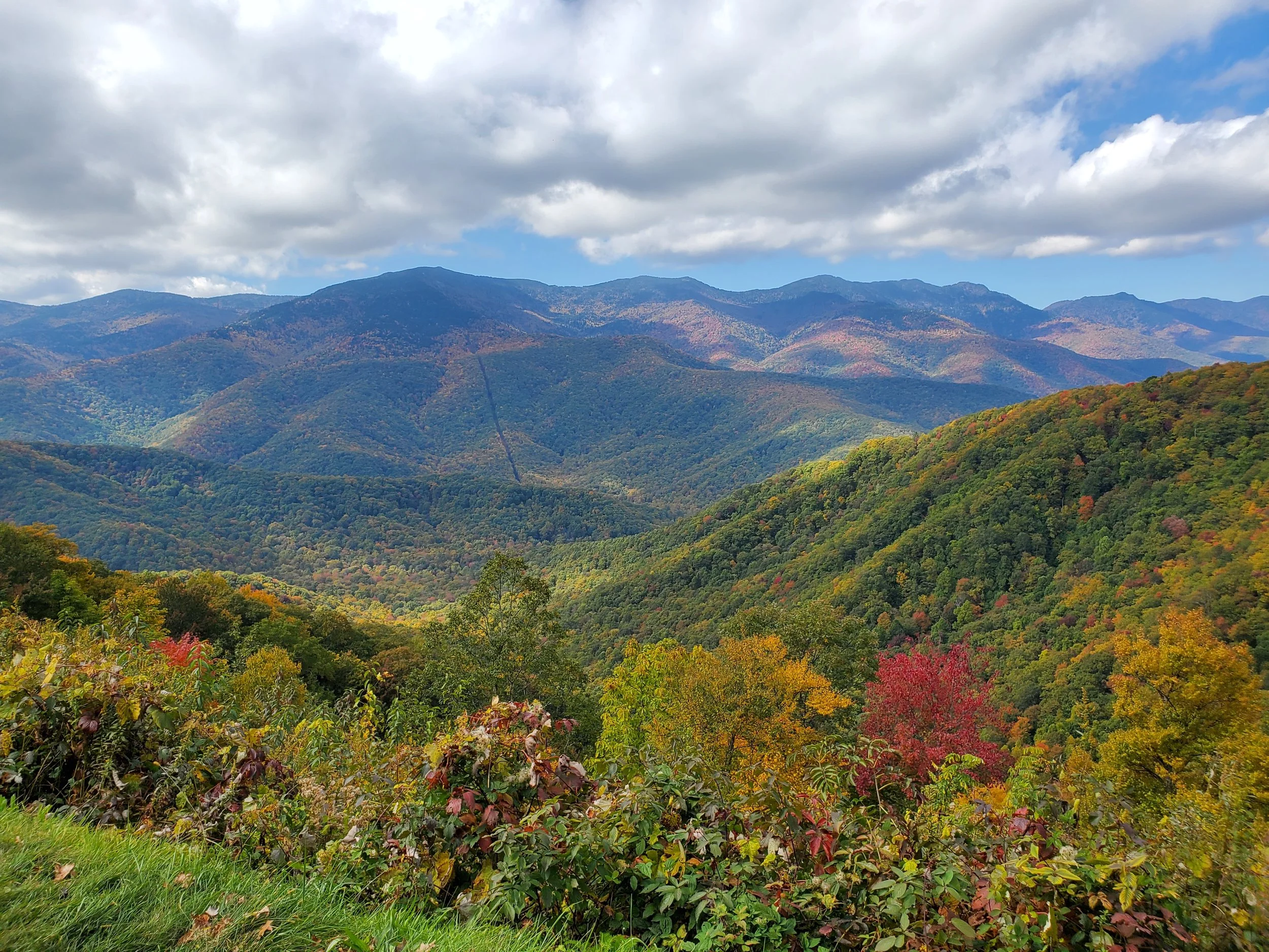 The Tar Heel State: Fascinating North Carolina Facts You May Not Know