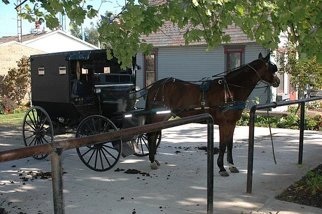 Amish Horse and Buggy in Winesburg, OH