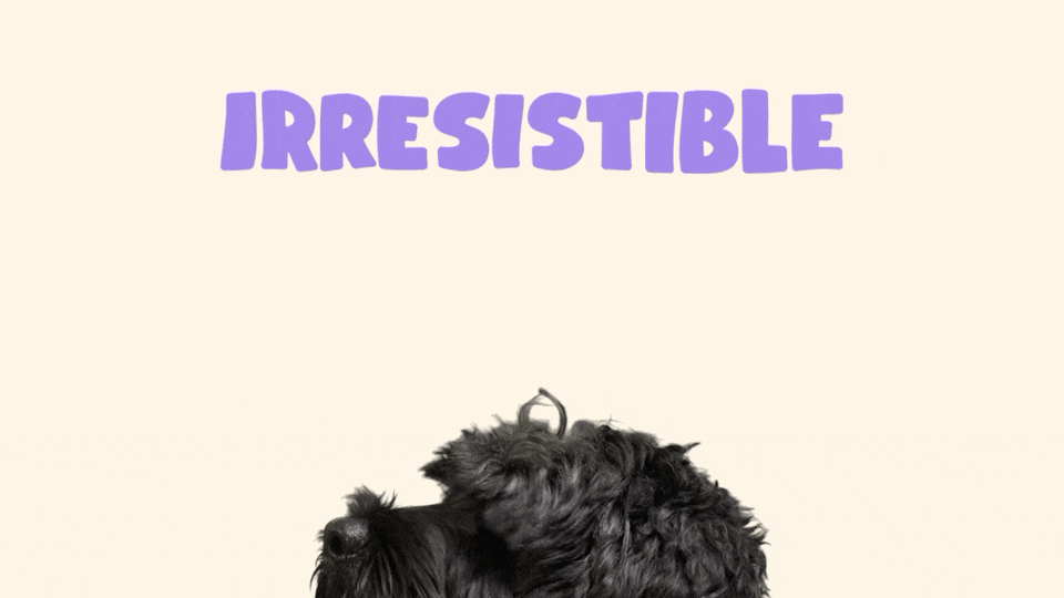 Years | Irresistible Dog Food