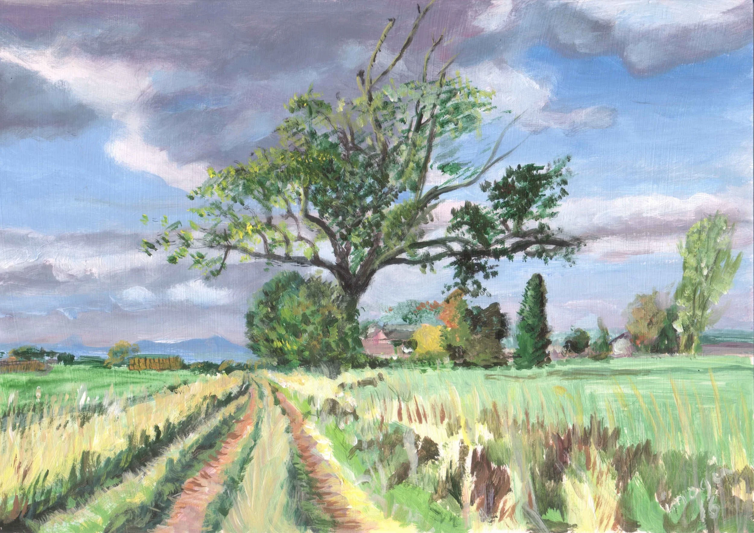 17_ Balmalcolm Farmhouse with Cairgorms 72dpi.jpg