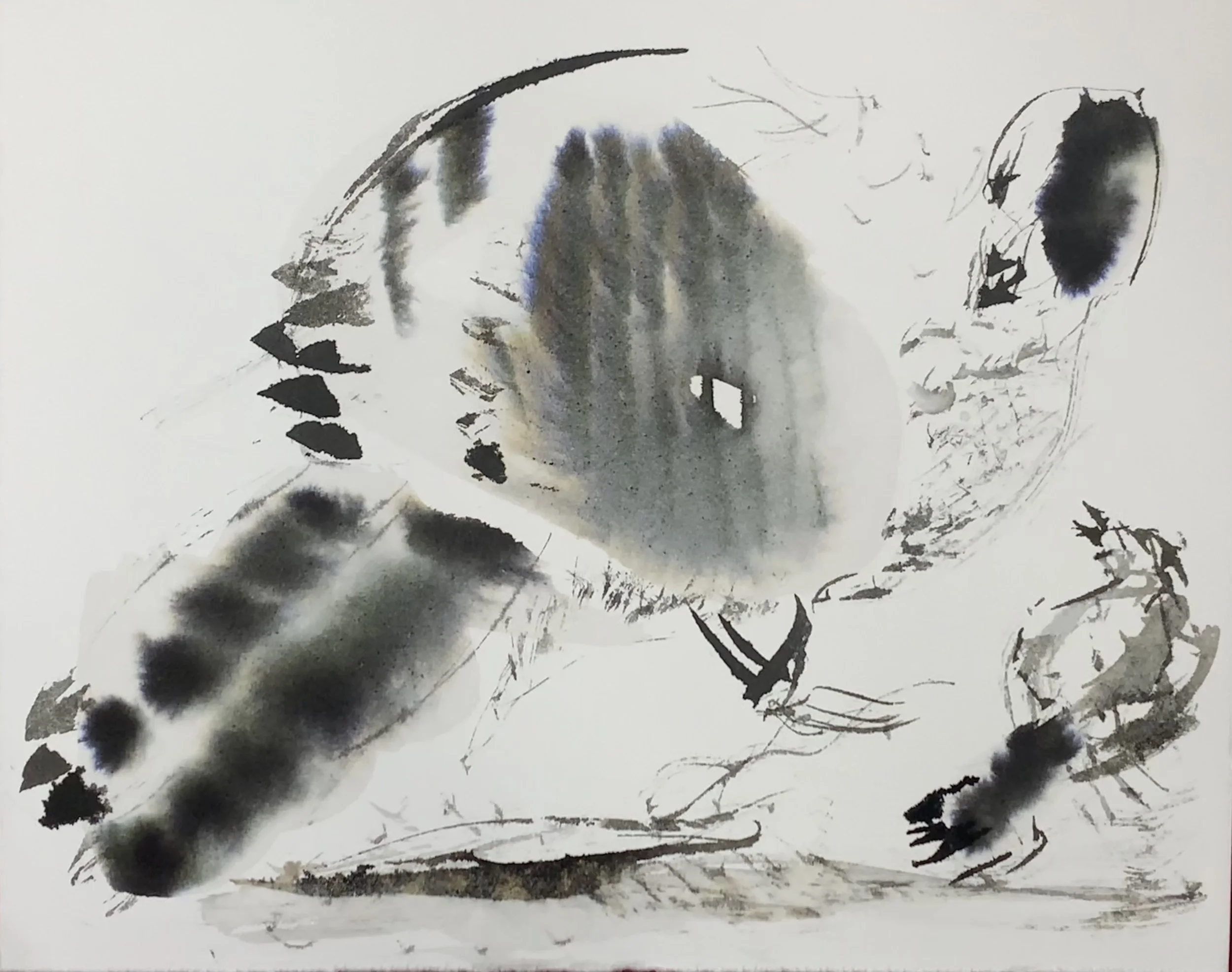 20251030 ODDY Mama Guinea fowl blob -wcolour paper.jpg