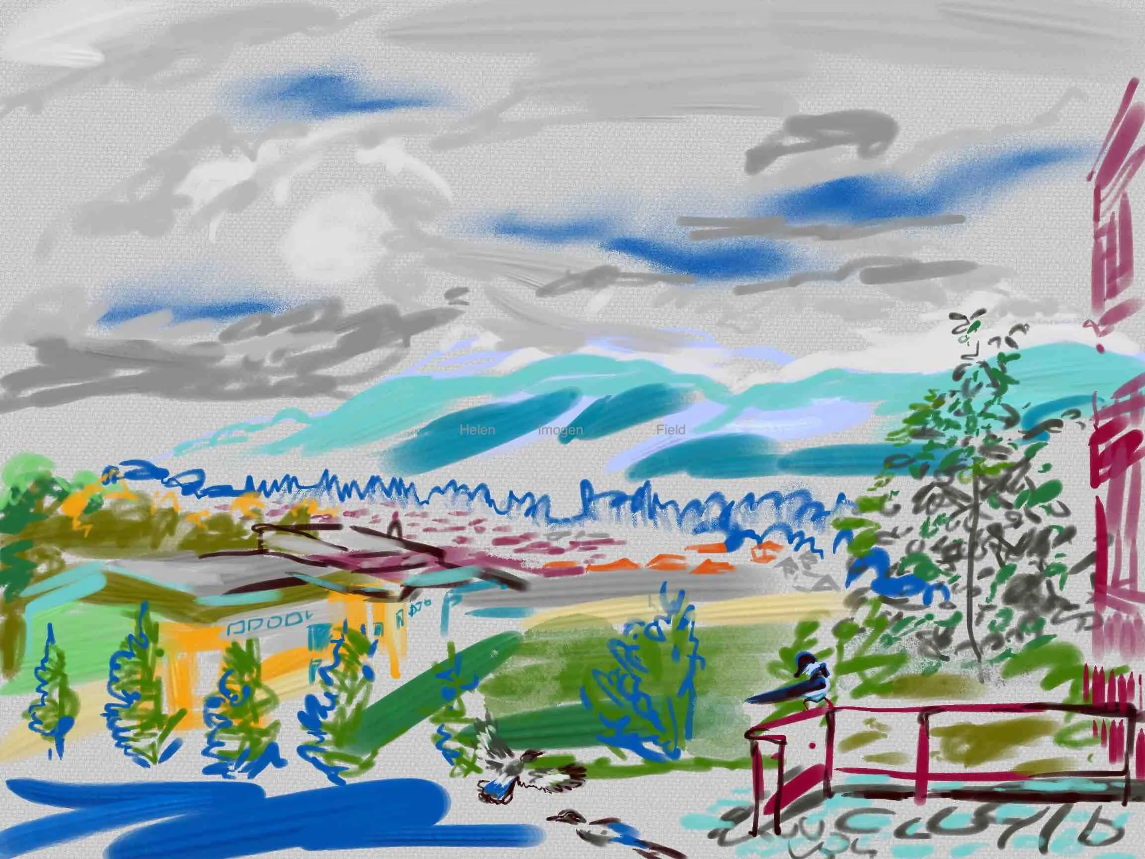 Oxgang Hills from Firrhill School Magpies191kb WM.jpeg