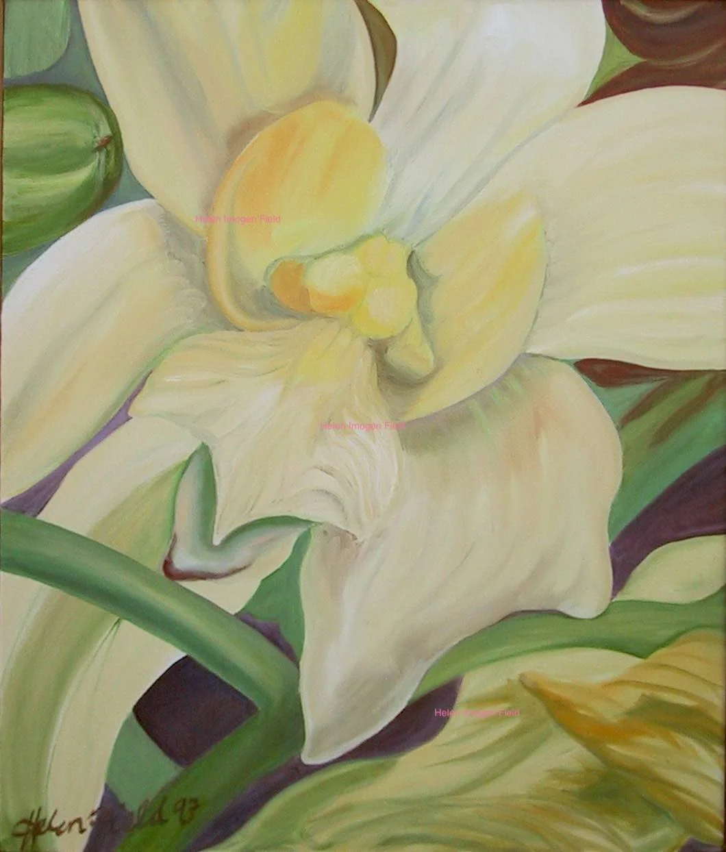 Oil painting TinyOrchid WM92kb.jpg