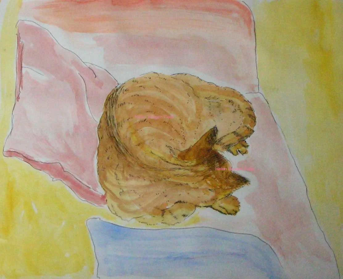 Drawing pen and watercolour Cat Ginger WM 60kb.jpg